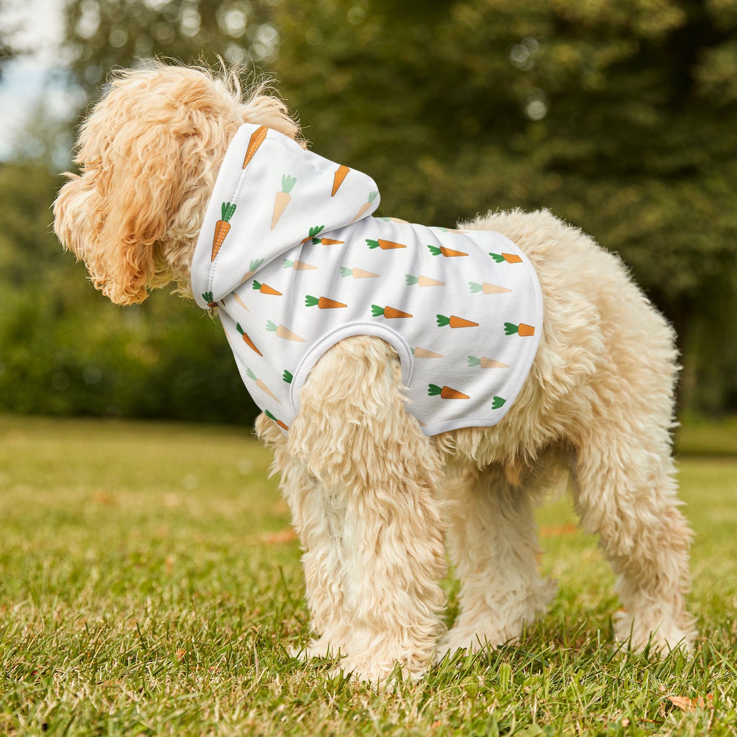 Carrot Pet Hoodie 🥕