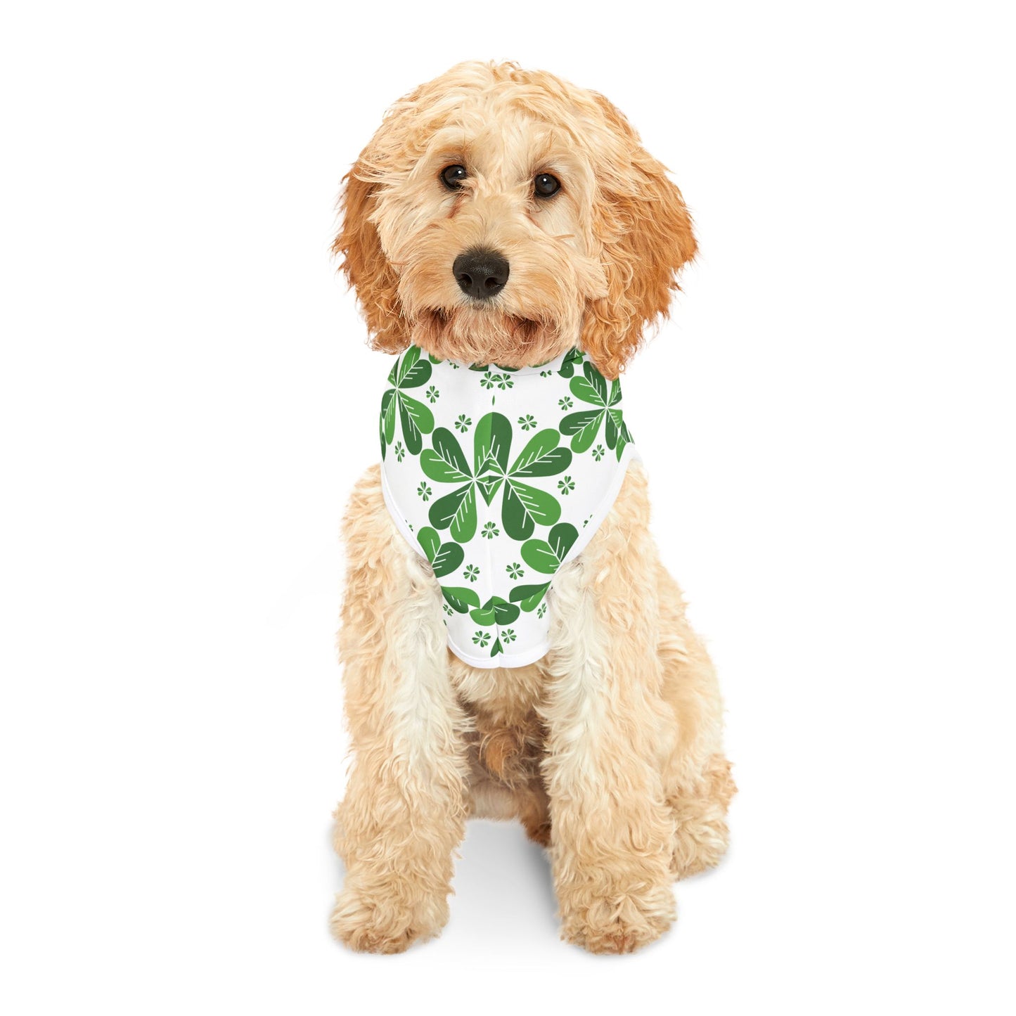 Lucky Clover Pet Hoodie 🍀