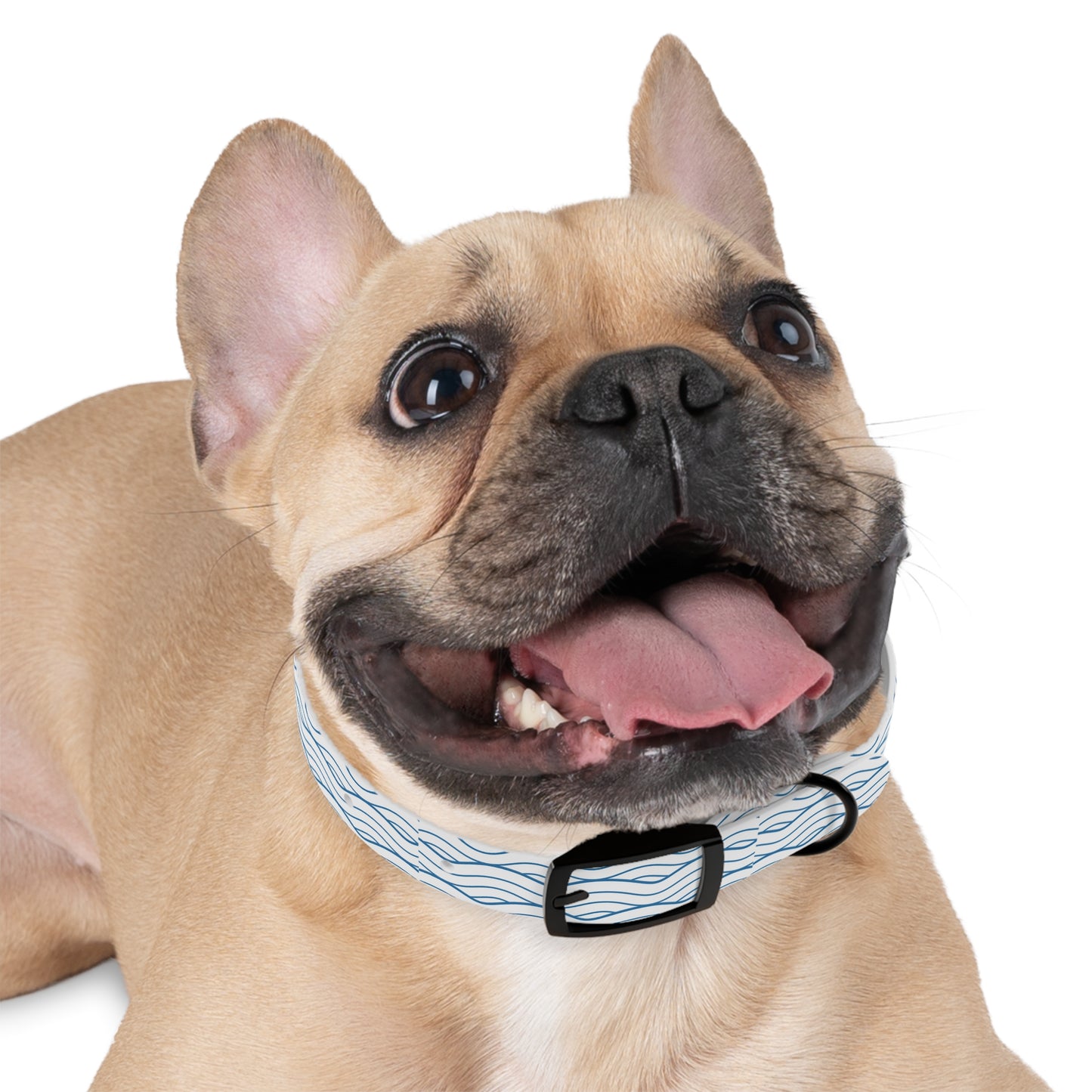 Wave Pattern Dog Collar 🌊