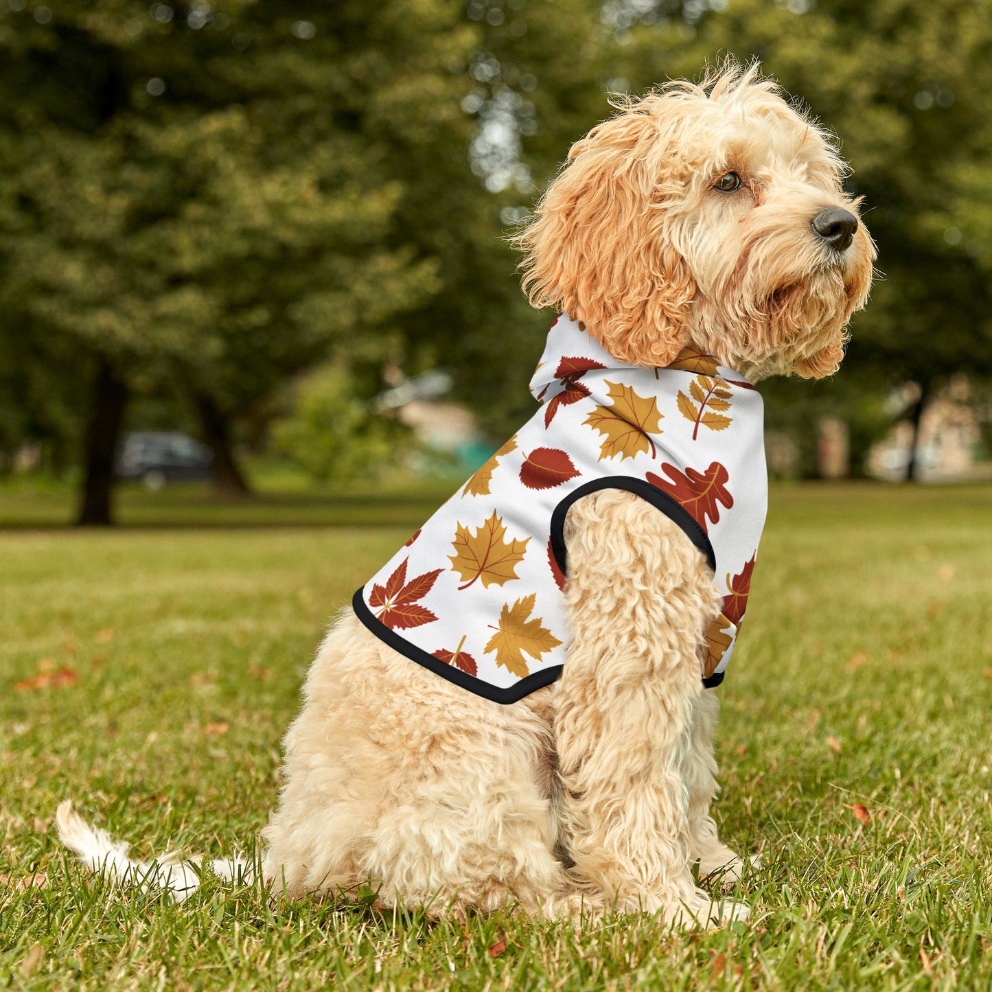 Falling Leaves Pet Hoodie 🍁