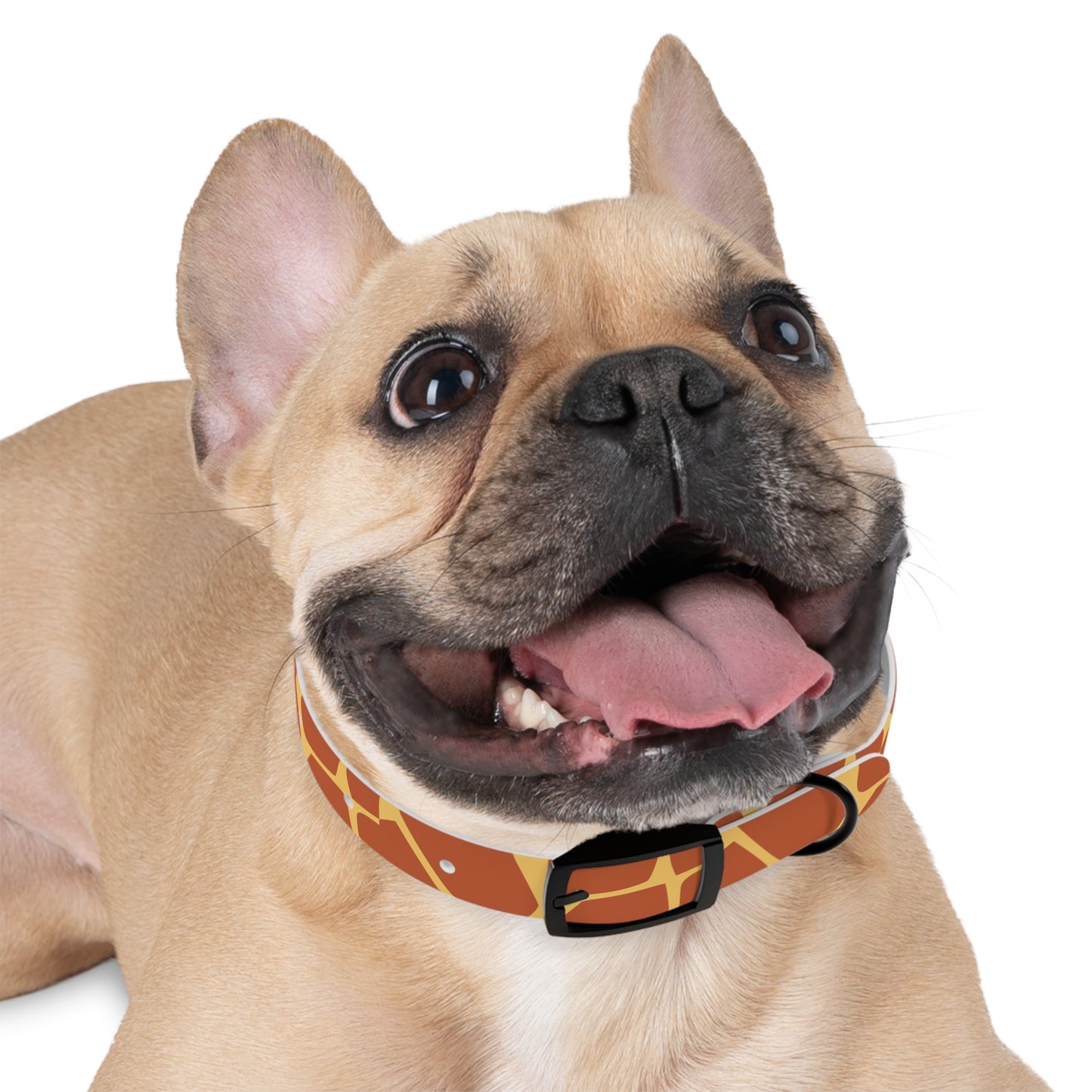 Giraffe Pattern Dog Collar 🦒