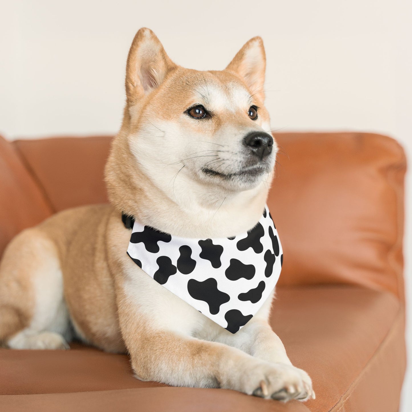 Cow Print Pet Bandana Collar 🐄