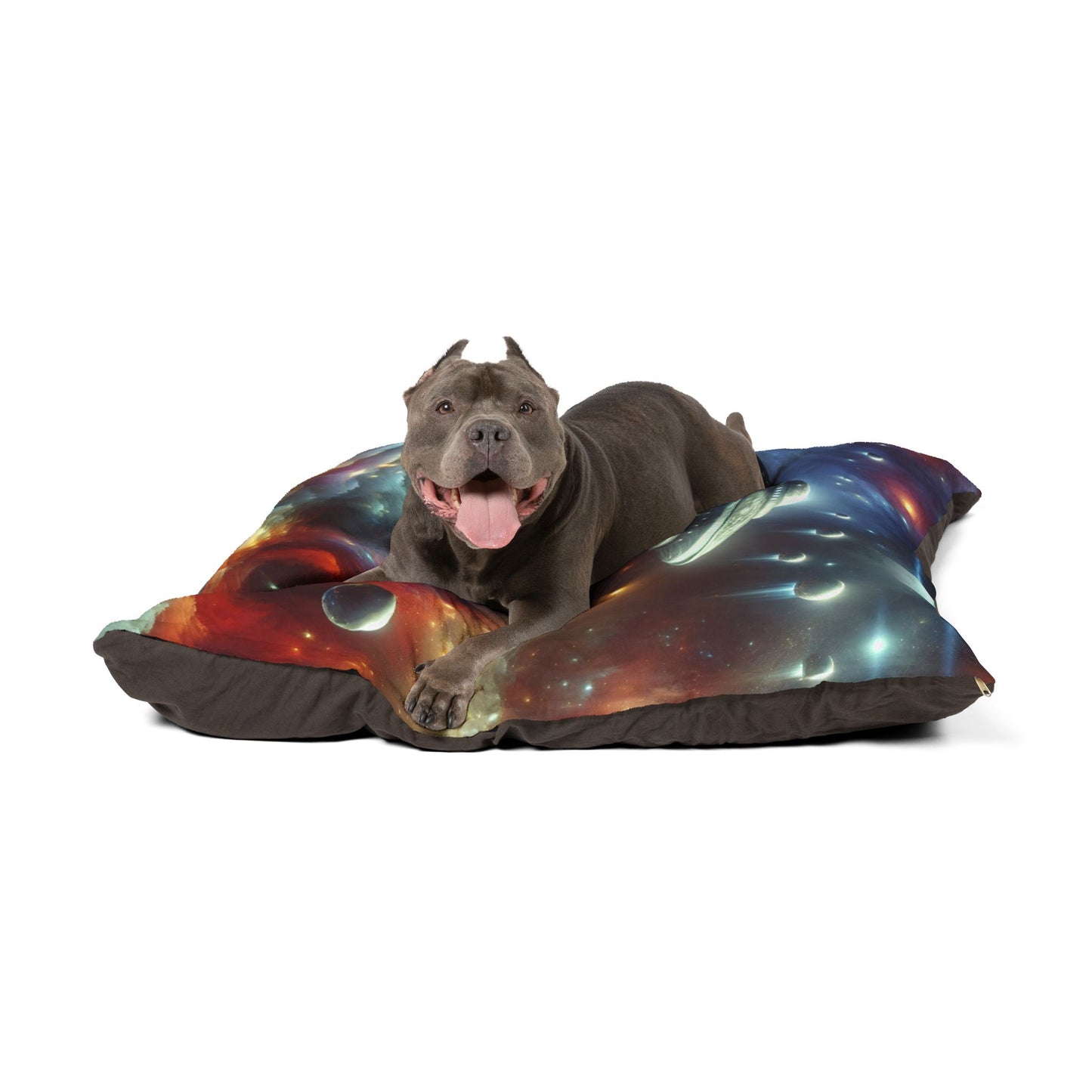 Out-of-This-World UFO Pet Bed