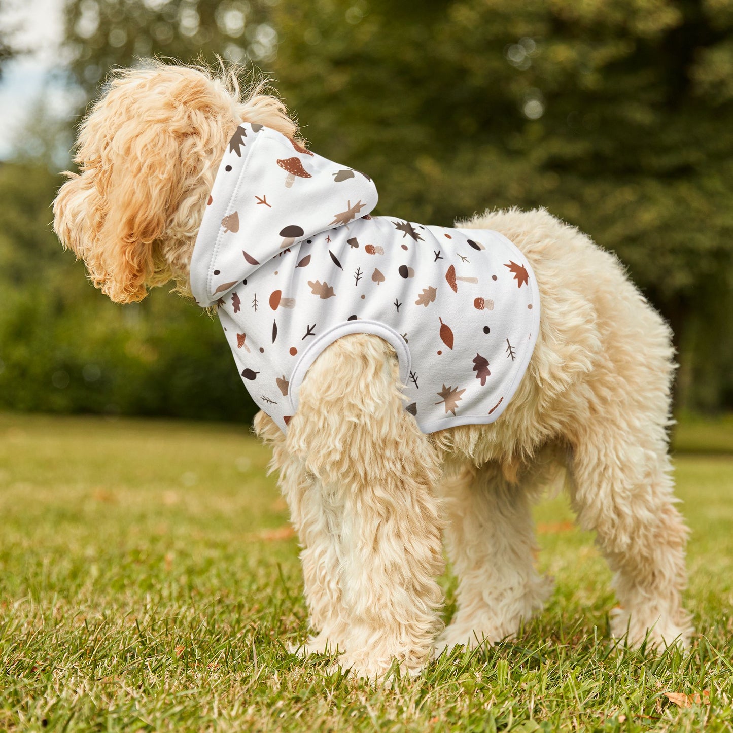 Falling for Fall Pet Hoodie 🍂