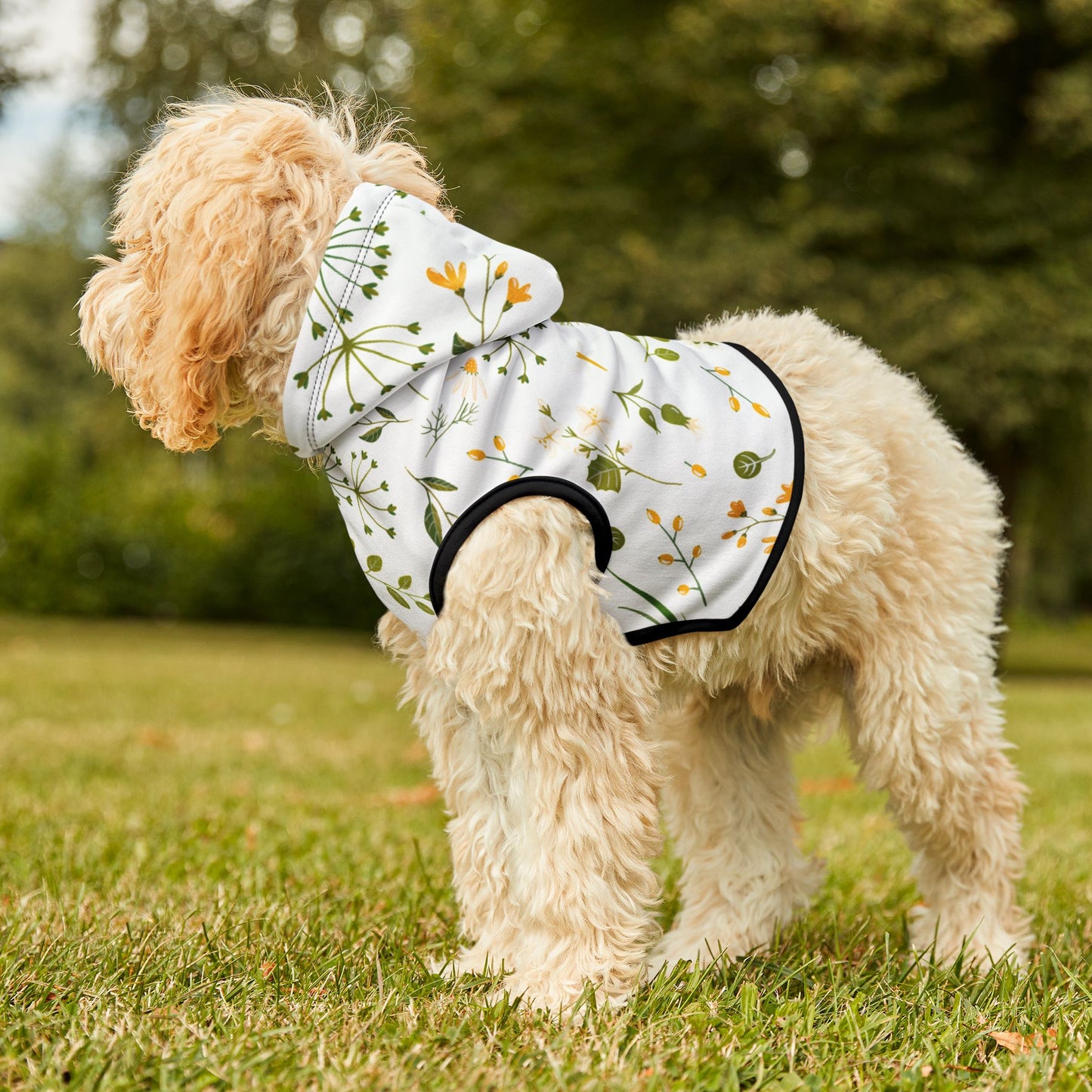 Spring Vibes Pet Hoodie 🌿