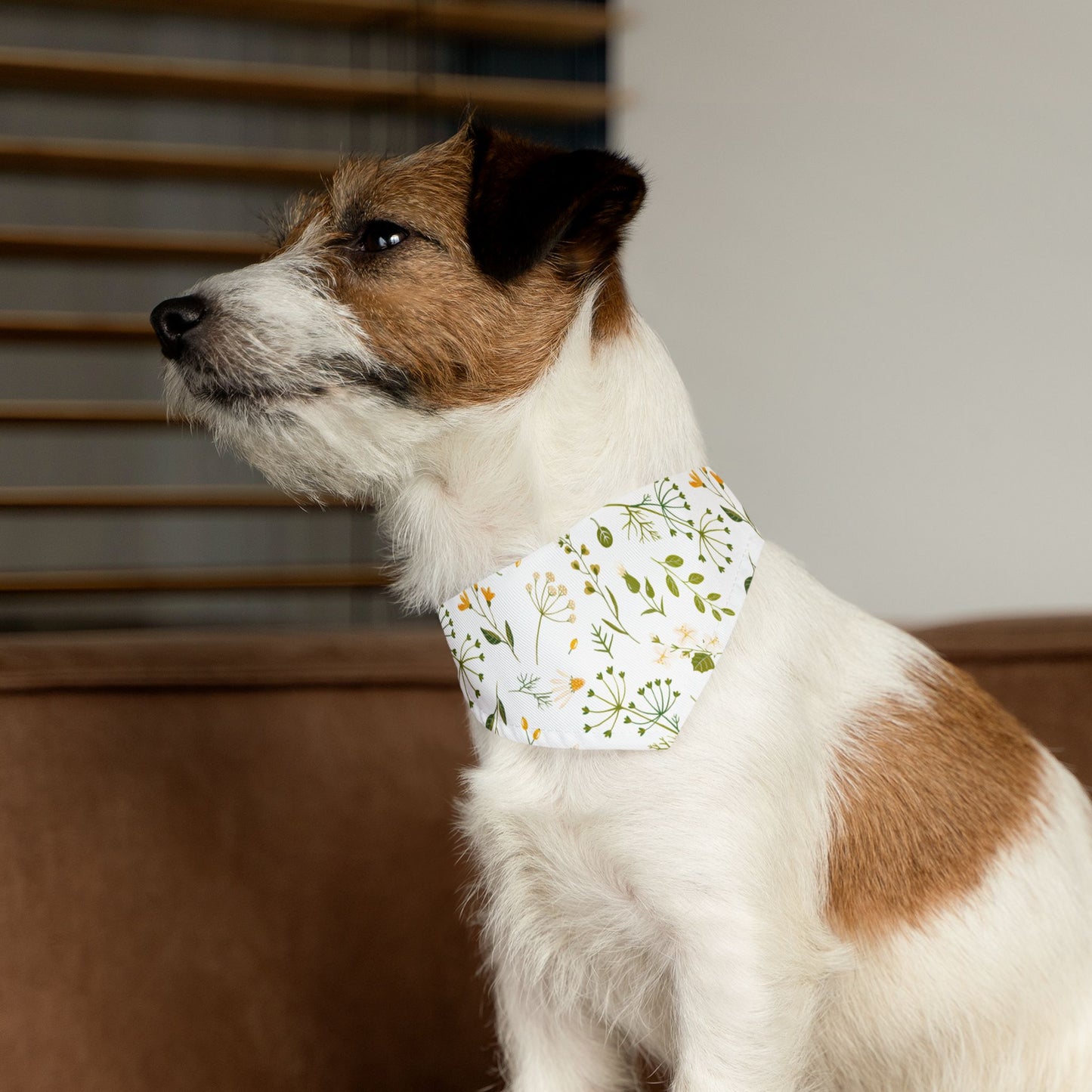 Spring Vibes Pet Bandana Collar 🌿