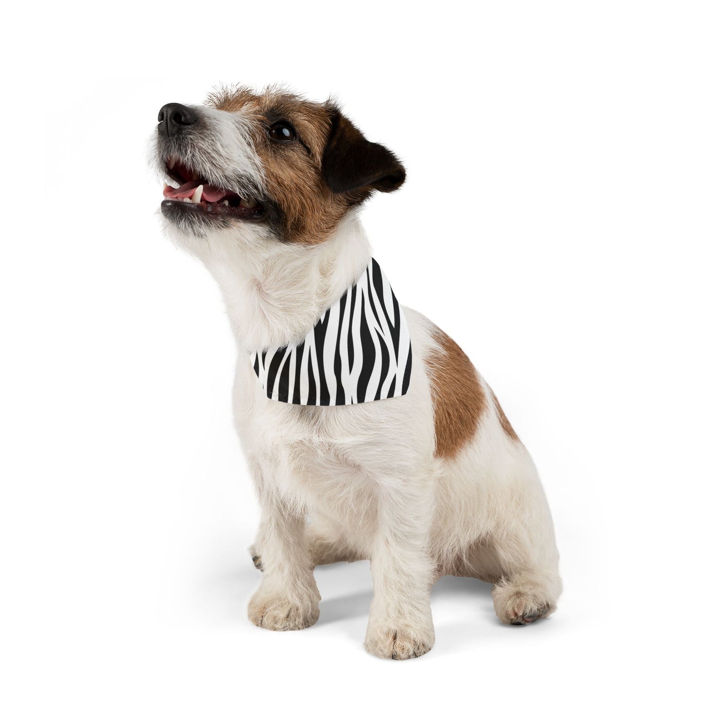 Zebra Pet Bandana Collar 🦓