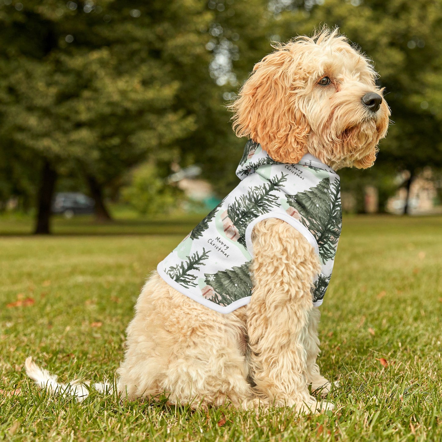 Merry & Bright Pet Hoodie 🎄