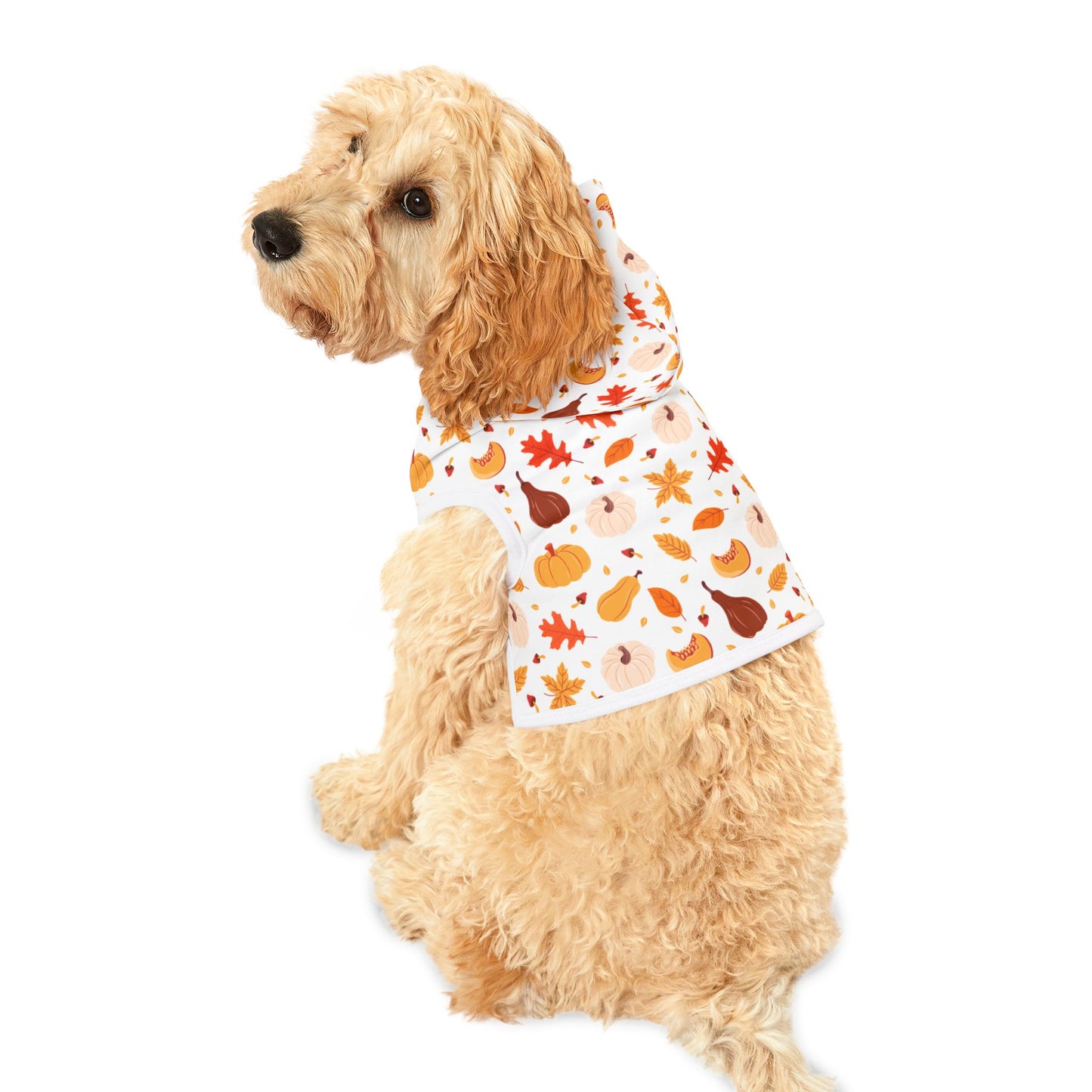 Pumpkin Patch Pet Hoodie 🎃