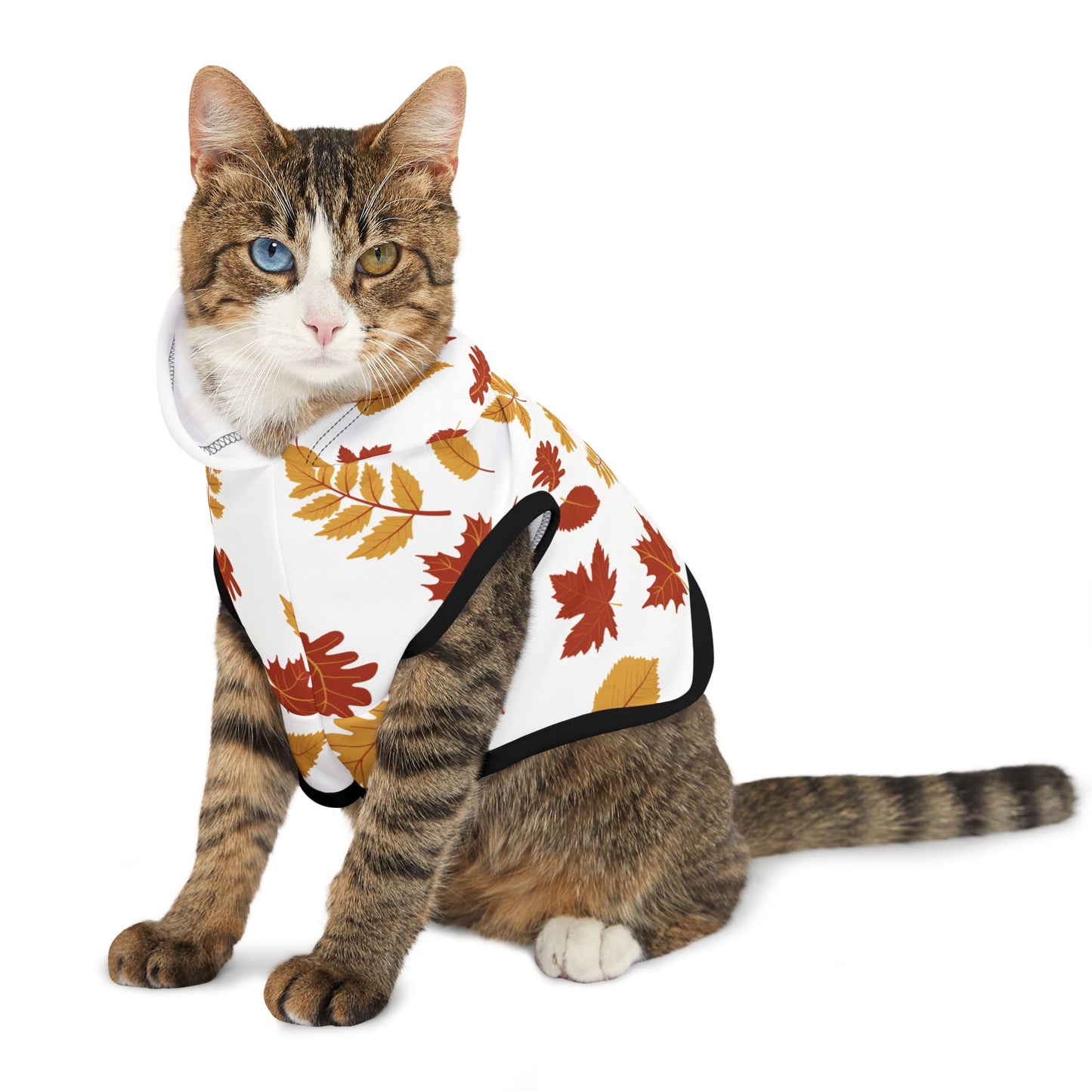 Falling Leaves Pet Hoodie 🍁
