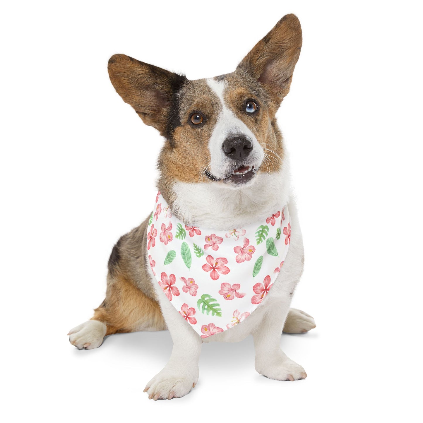 Tropical Floral Pet Bandana Collar 🌺