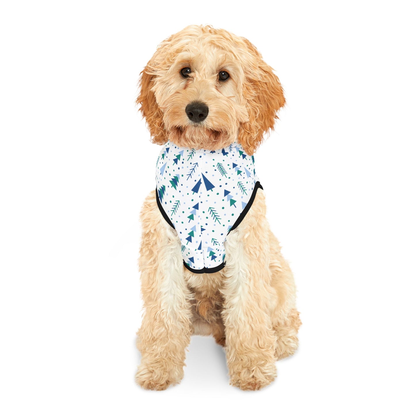 Frosted Aztec Winter Pet Hoodie 💙