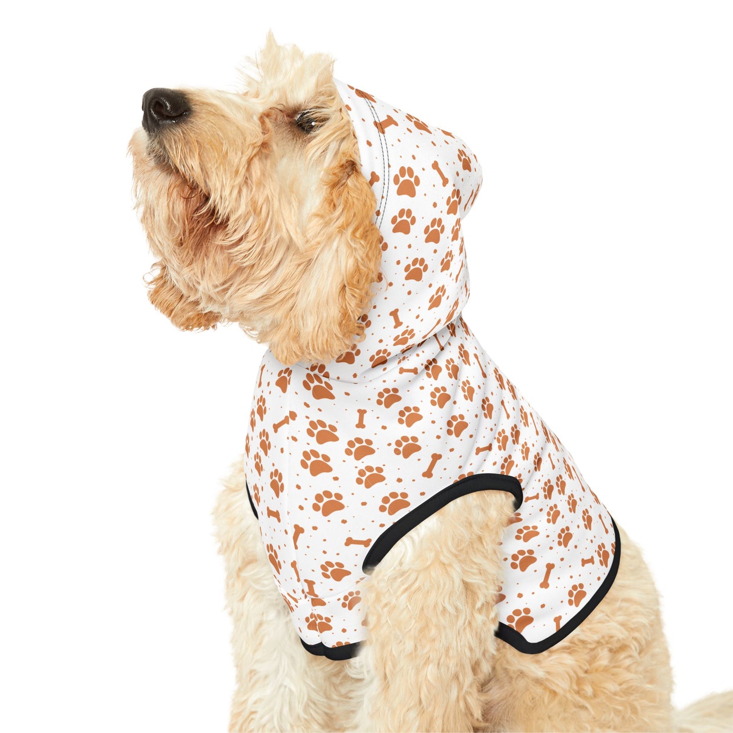 Pumpkin Paws Pet Hoodie 🎃