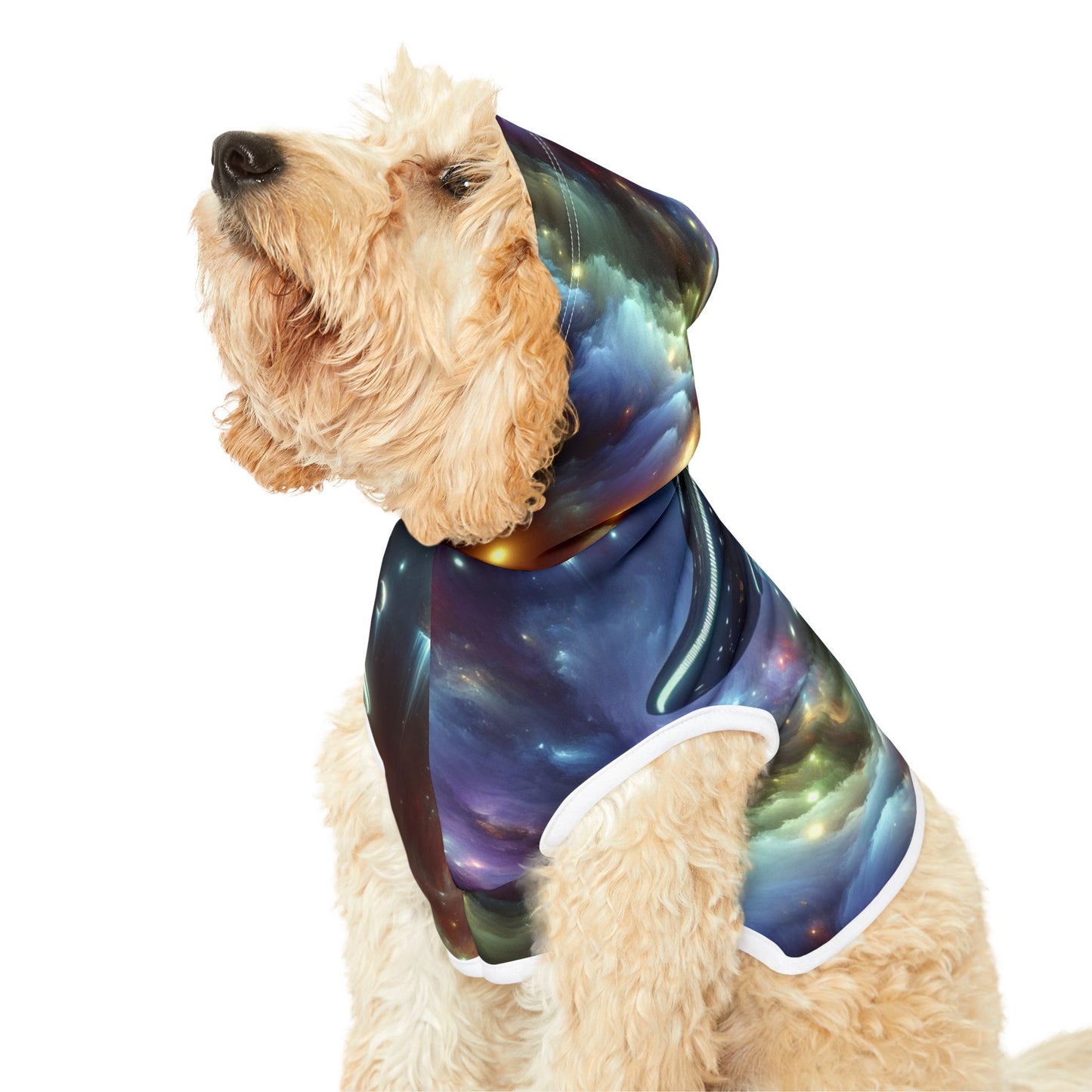 Out-of-This-World UFO Pet Hoodie 🛸👽