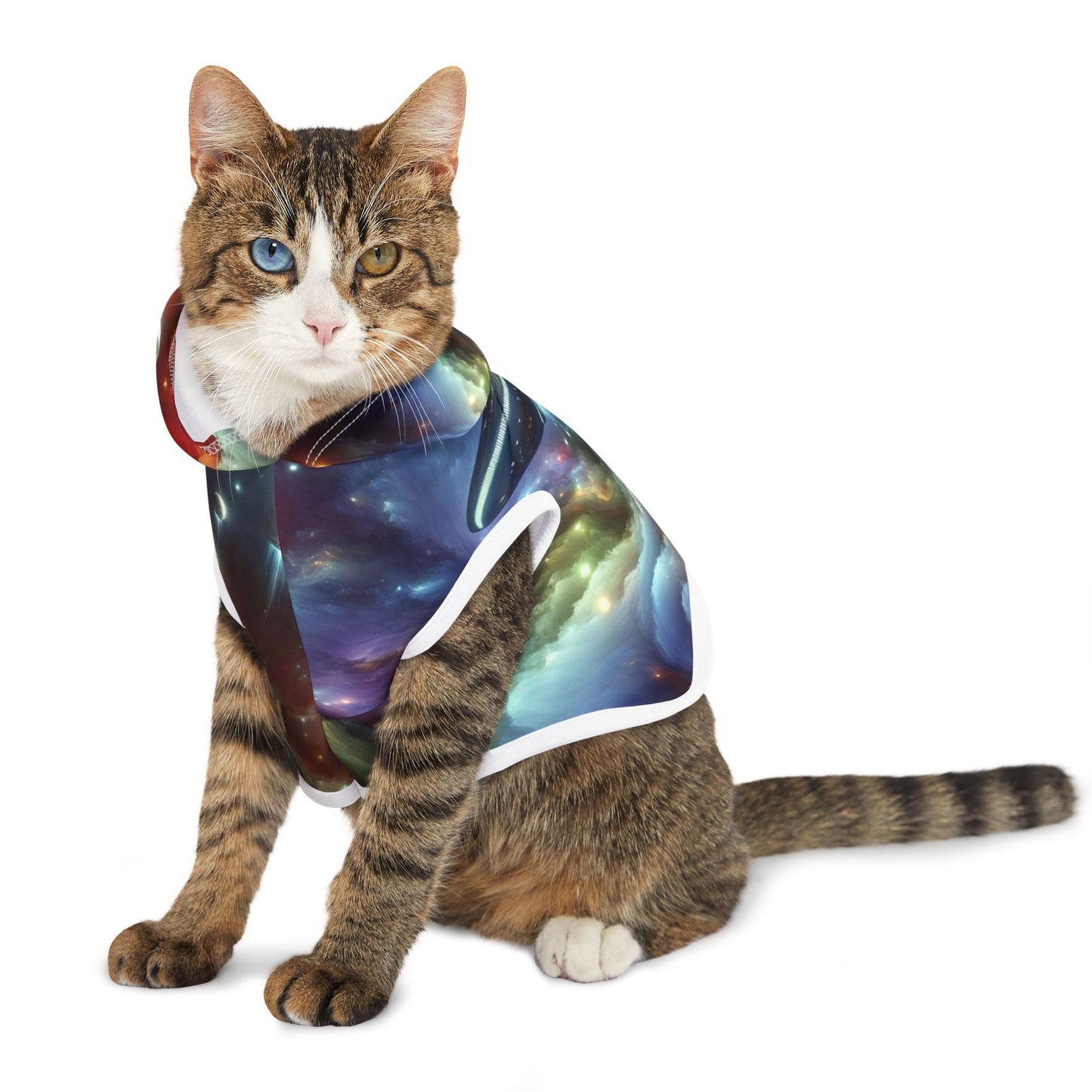 Out-of-This-World UFO Pet Hoodie 🛸👽