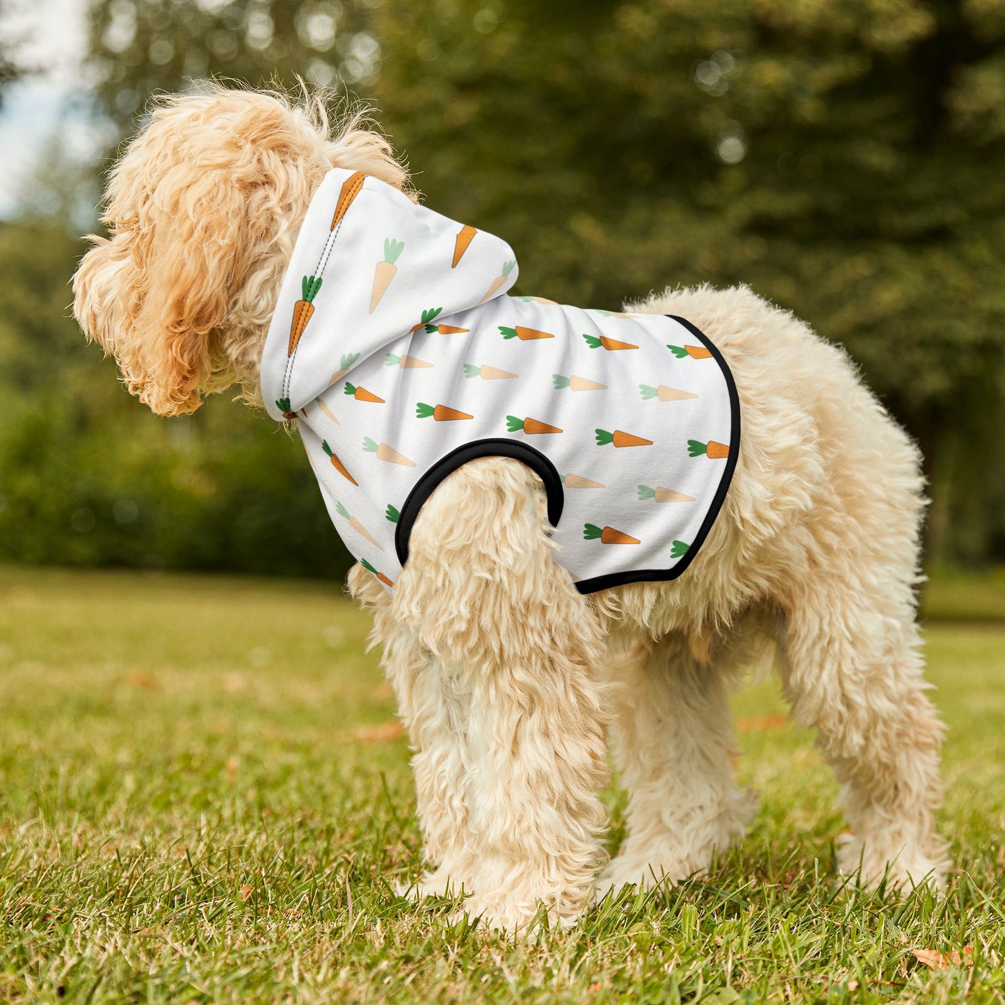 Carrot Pet Hoodie 🥕