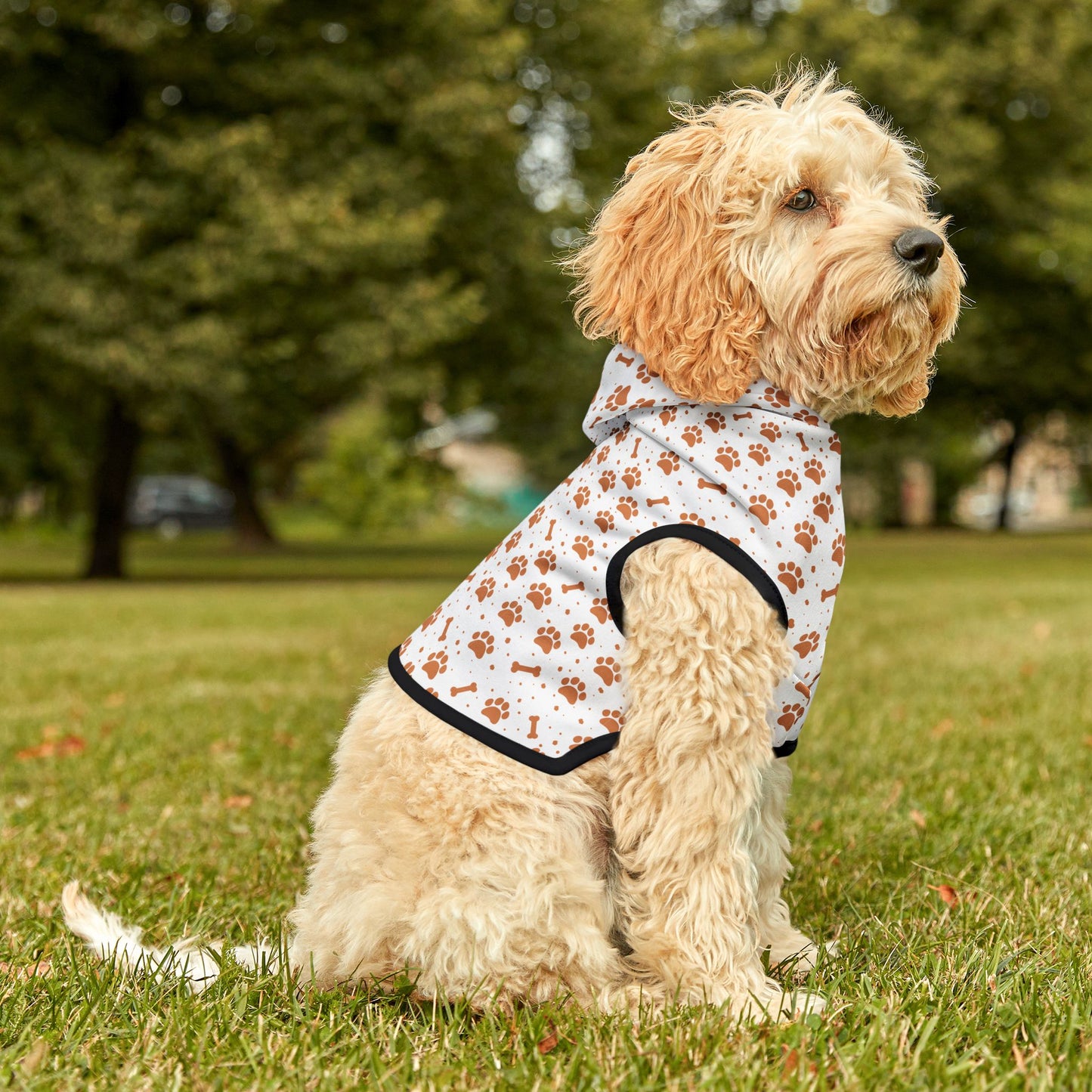 Pumpkin Paws Pet Hoodie 🎃