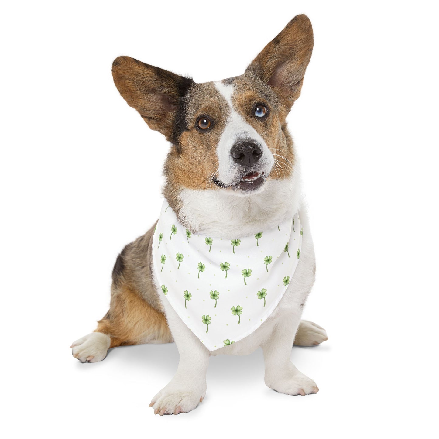 Lucky Clover Pet Bandana Collar 🍀