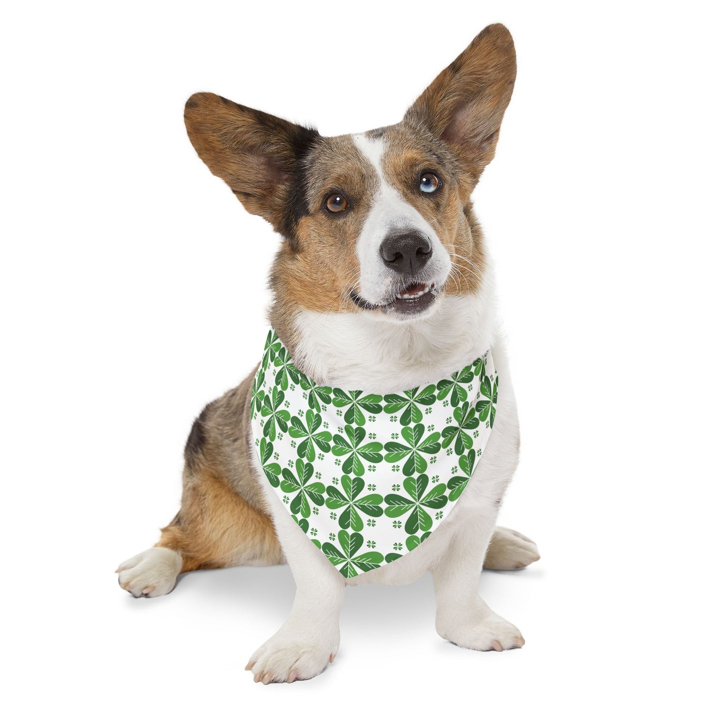 Lucky Clover Bandana Collar 🍀