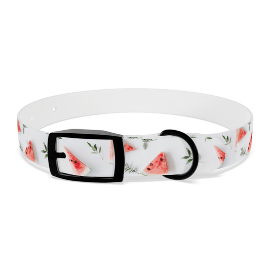 Watermelon Dog Collar 🍉