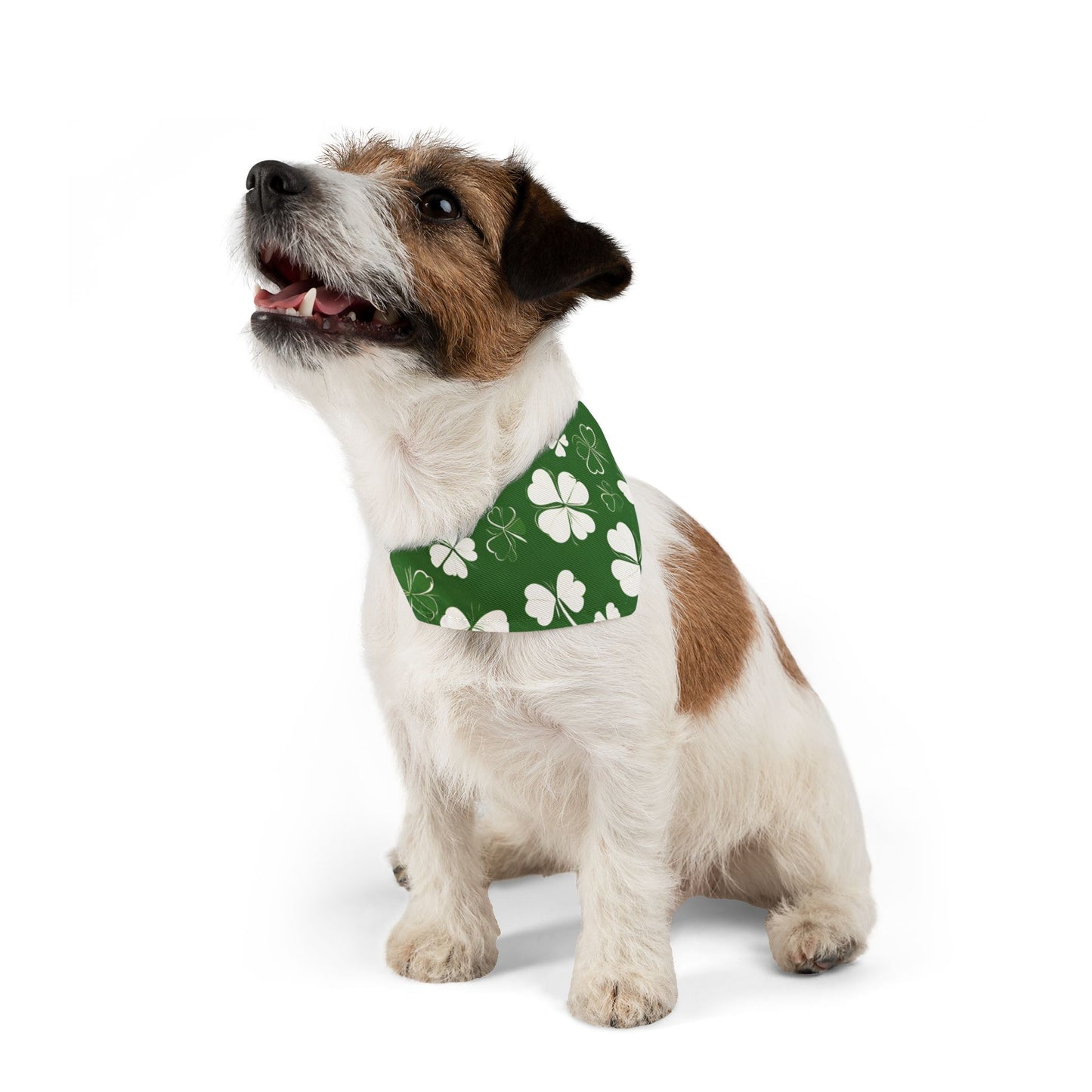 Lucky Pup Pet Bandana Collar 🍀