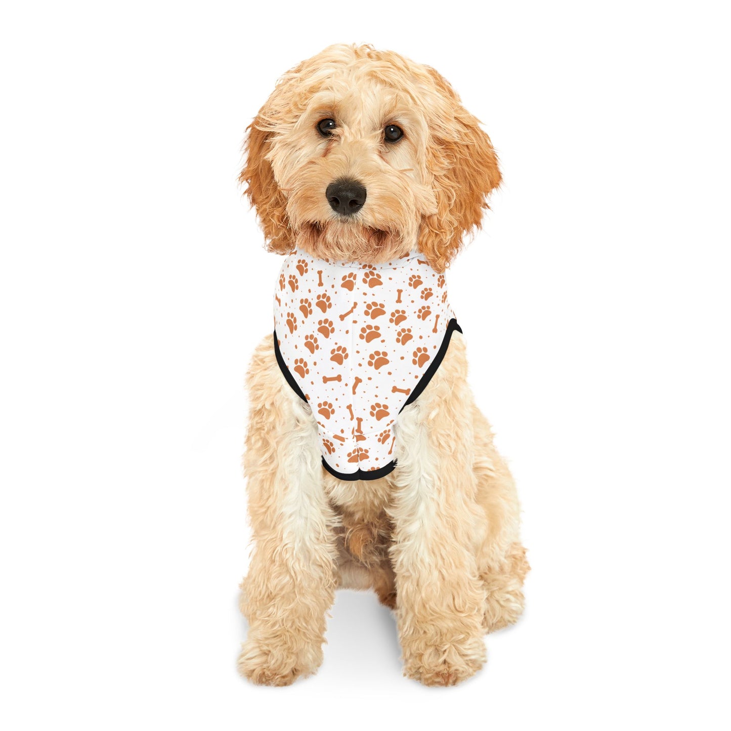 Pumpkin Paws Pet Hoodie 🎃