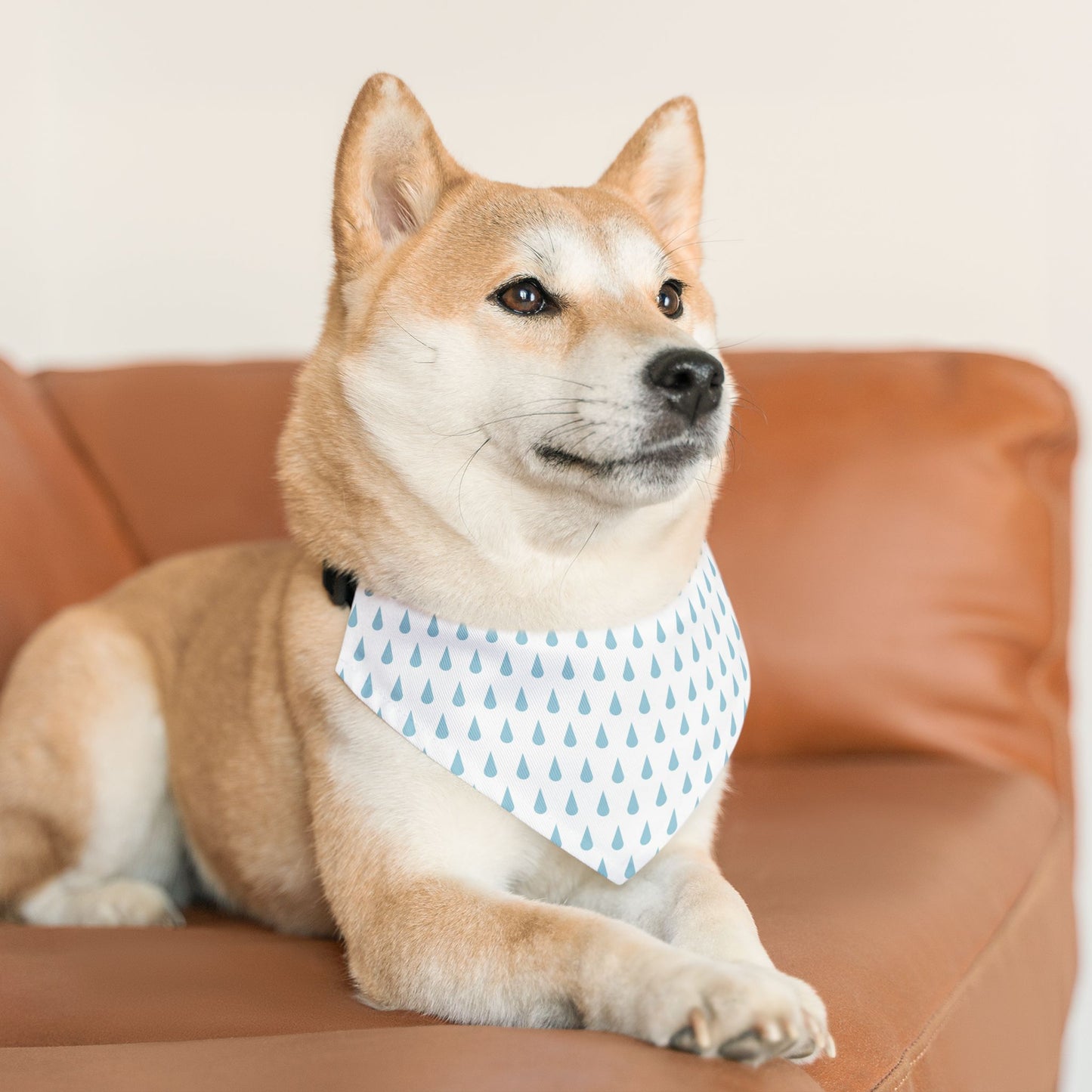 Raindrop Pet Bandana Collar