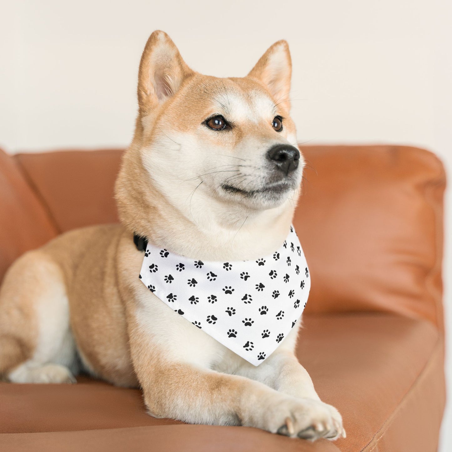 Paw Print Pet Bandana Collar 🐾