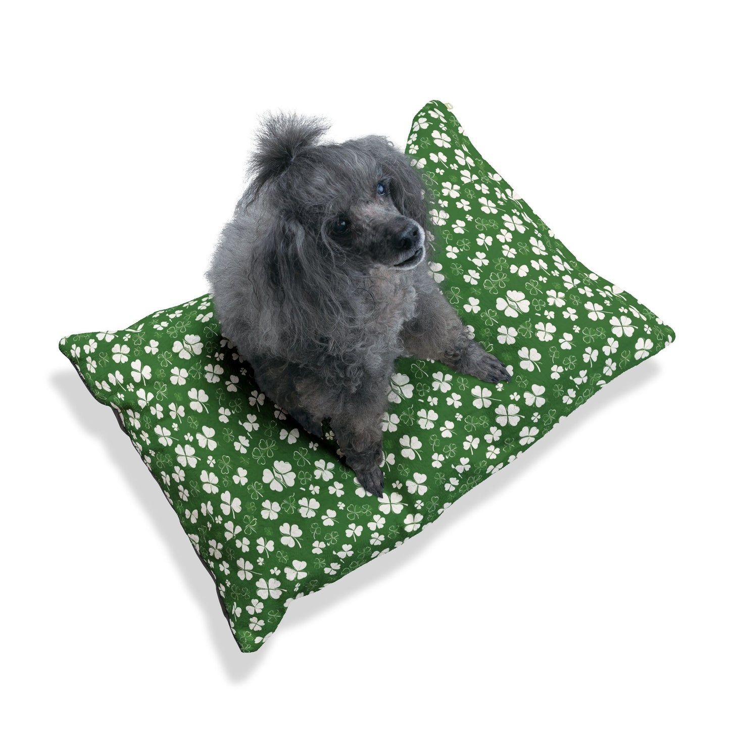 Lucky Pup Shamrock Pet Bed🍀🐾