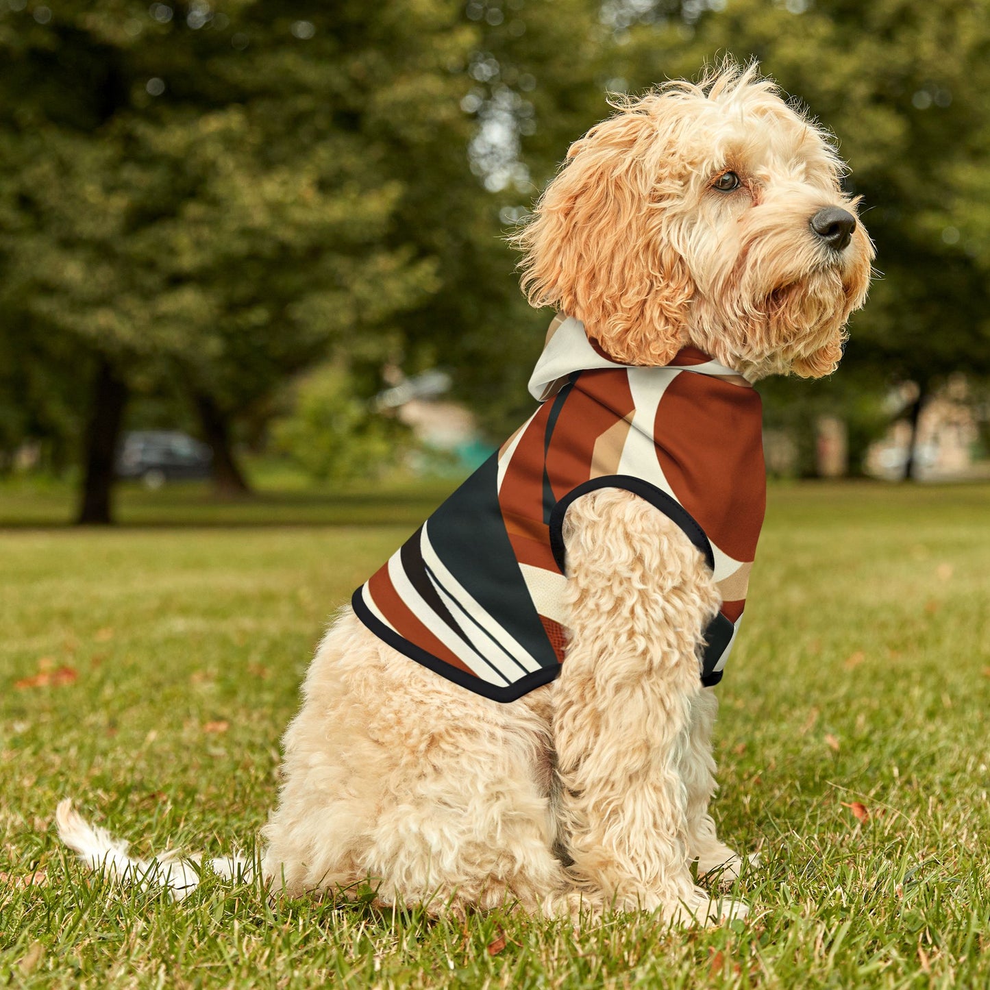 Minimalist Mountain Pet Hoodie 🏔️