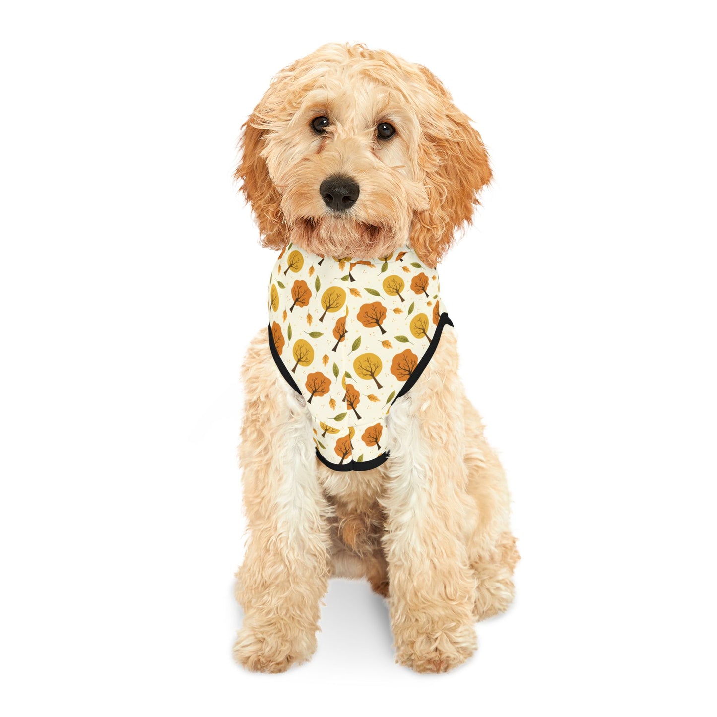 Park Stroll Pet Hoodie 🍂