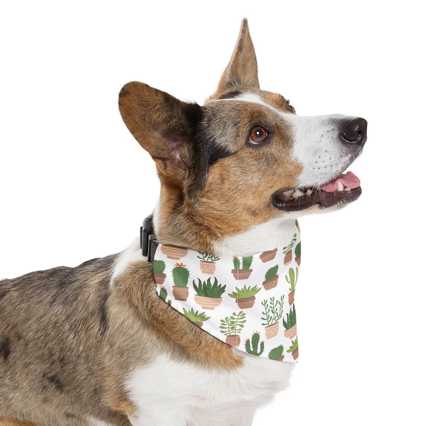 Succulent Style Pet Bandana Collar 🌿