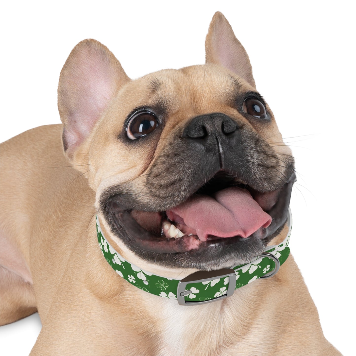 Lucky Pup Shamrock Dog Collar 🍀