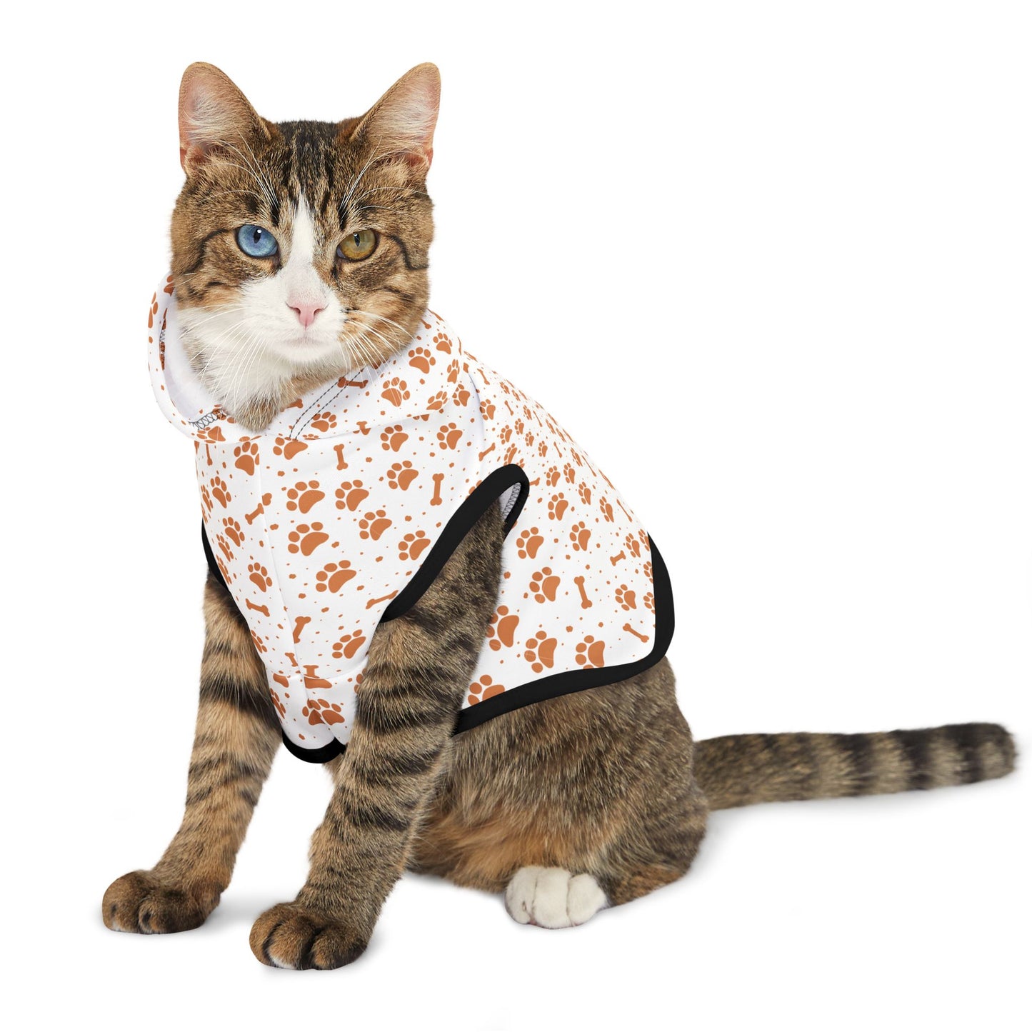 Pumpkin Paws Pet Hoodie 🎃