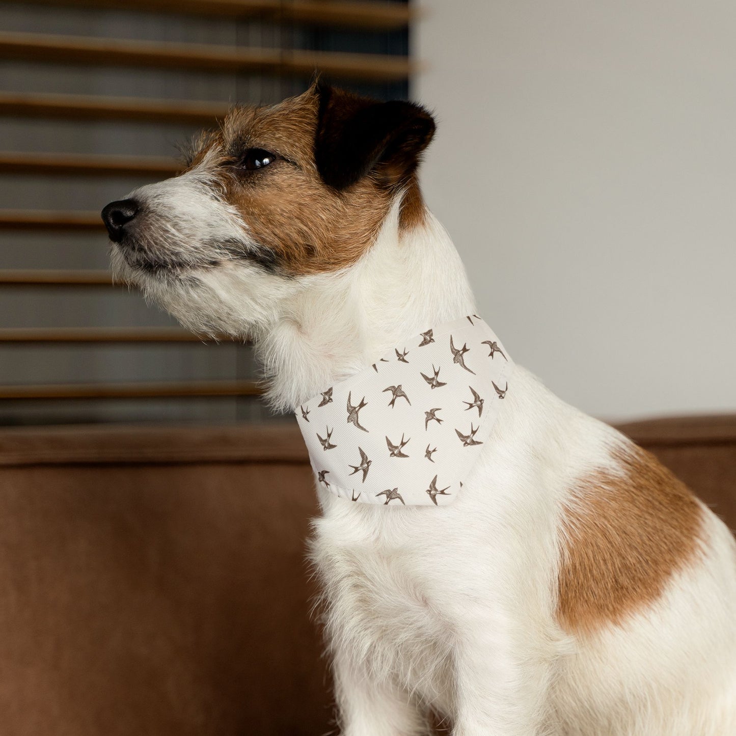 Boho Bird Pet Bandana Collar✨