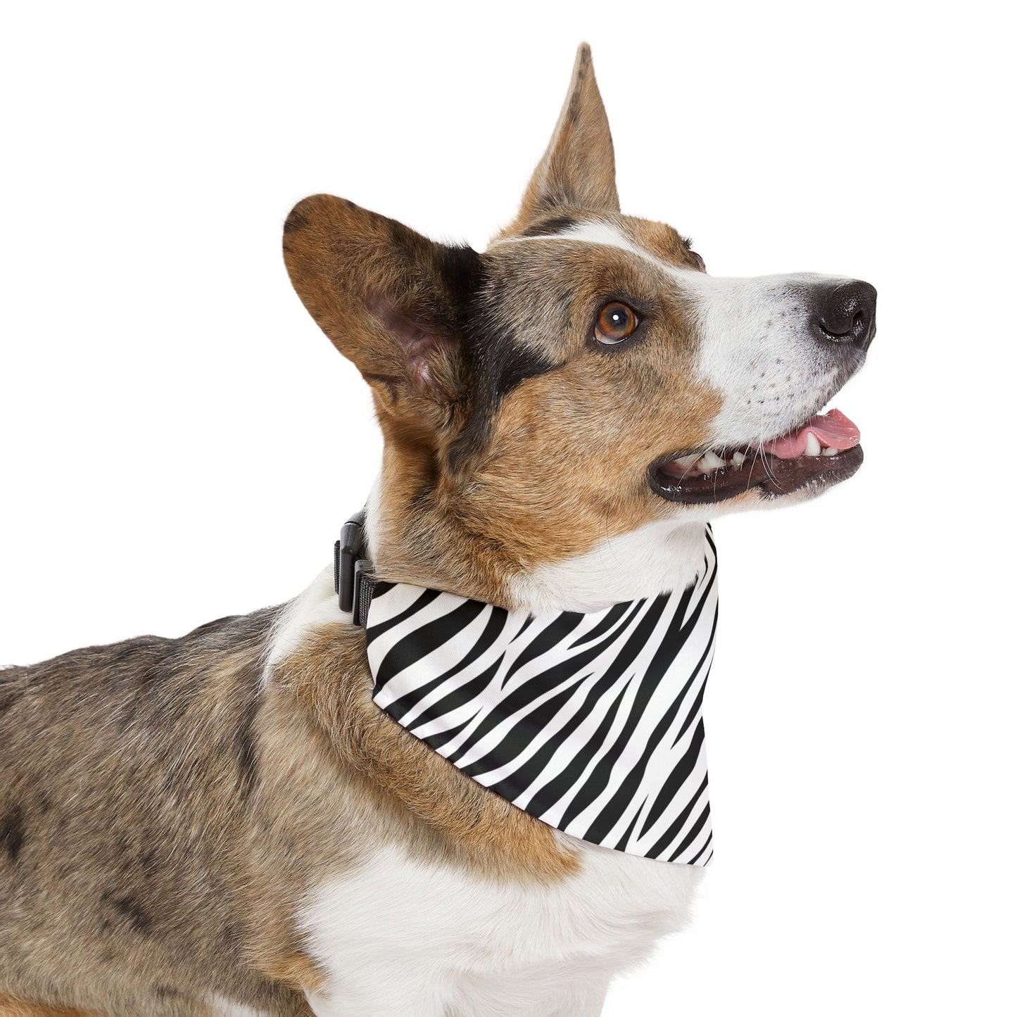 Zebra Pet Bandana Collar 🦓