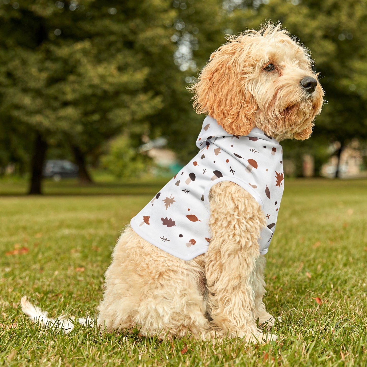 Falling for Fall Pet Hoodie 🍂