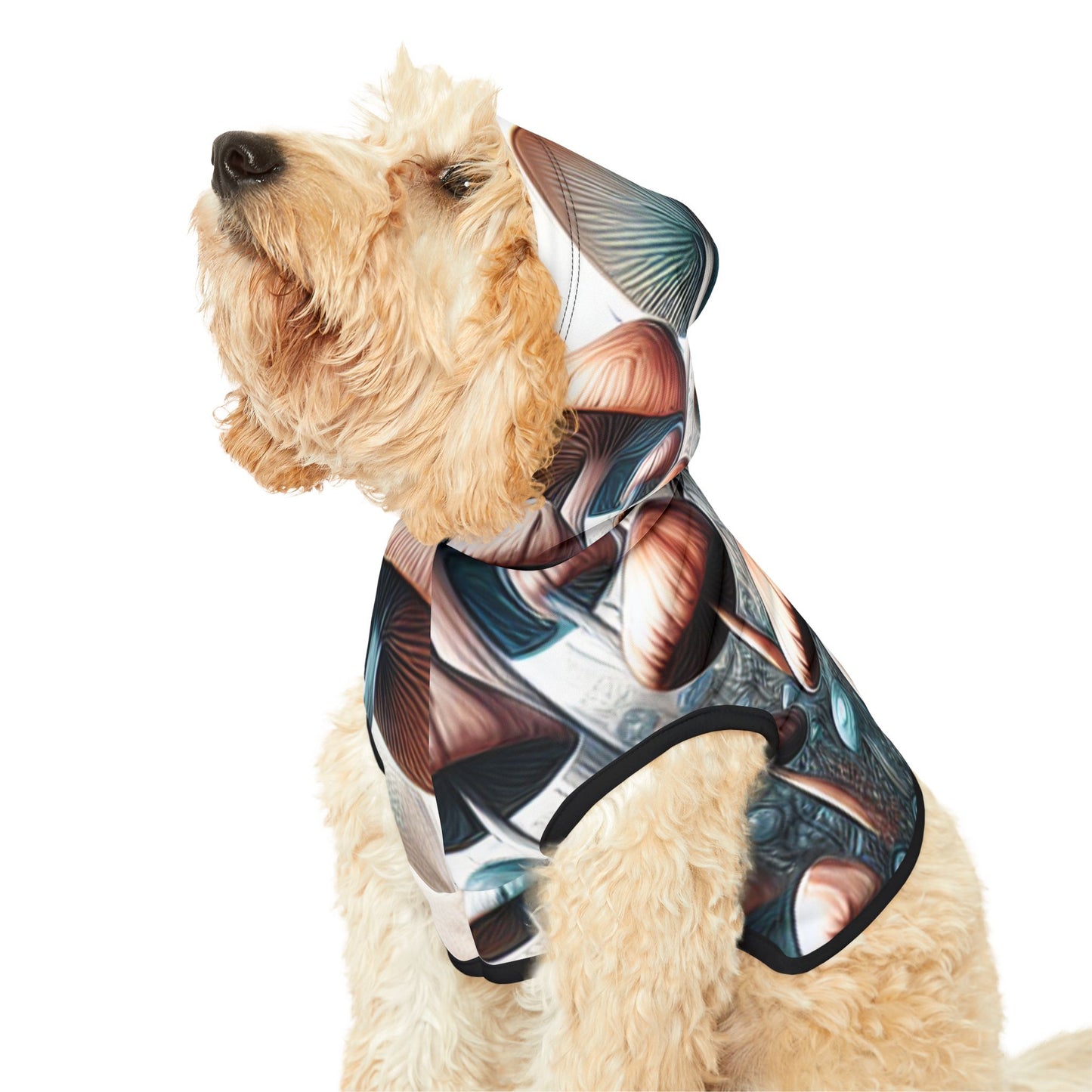 Magic Mushroom Pet Hoodie 🍄