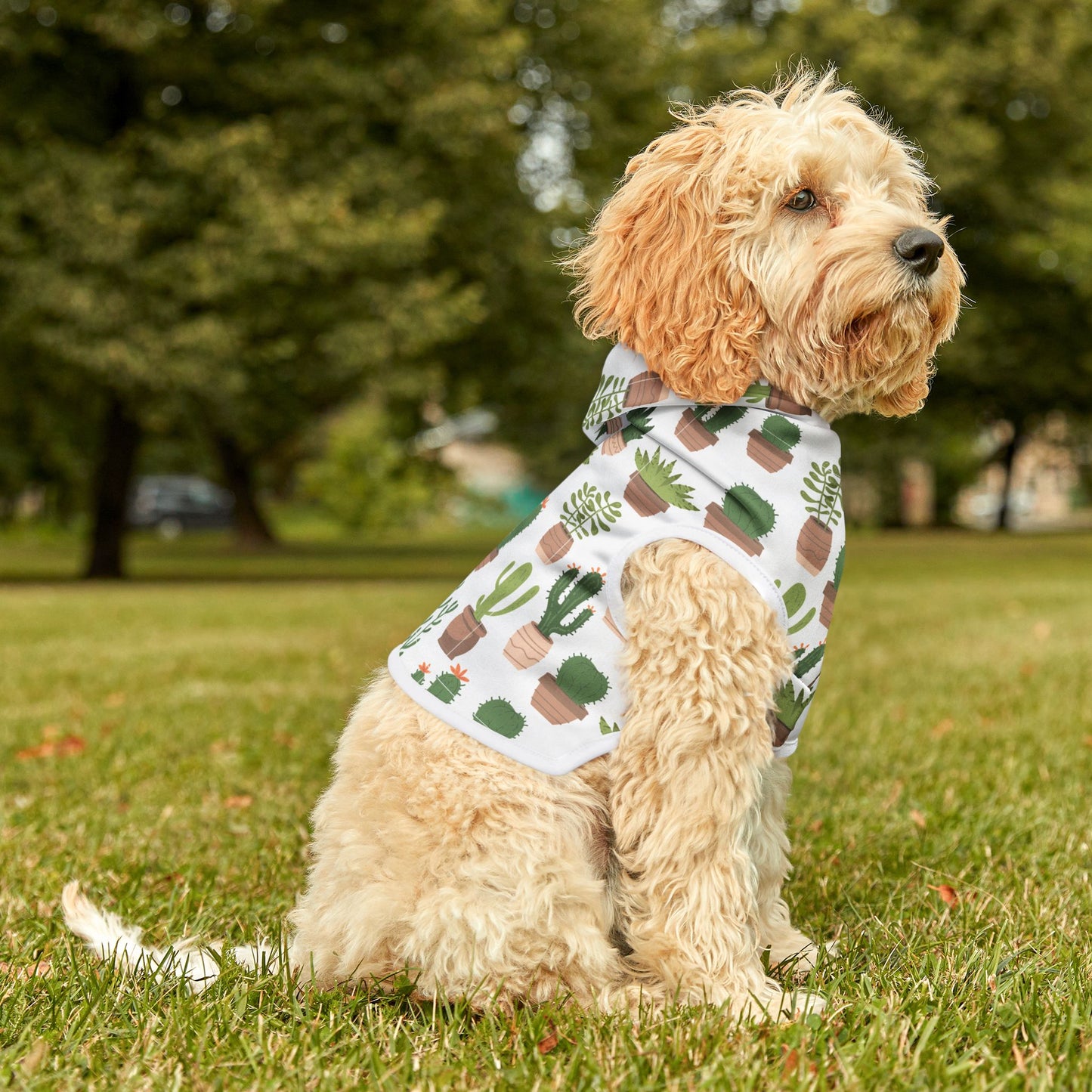 Succulent Snuggler Pet Hoodie 🌵