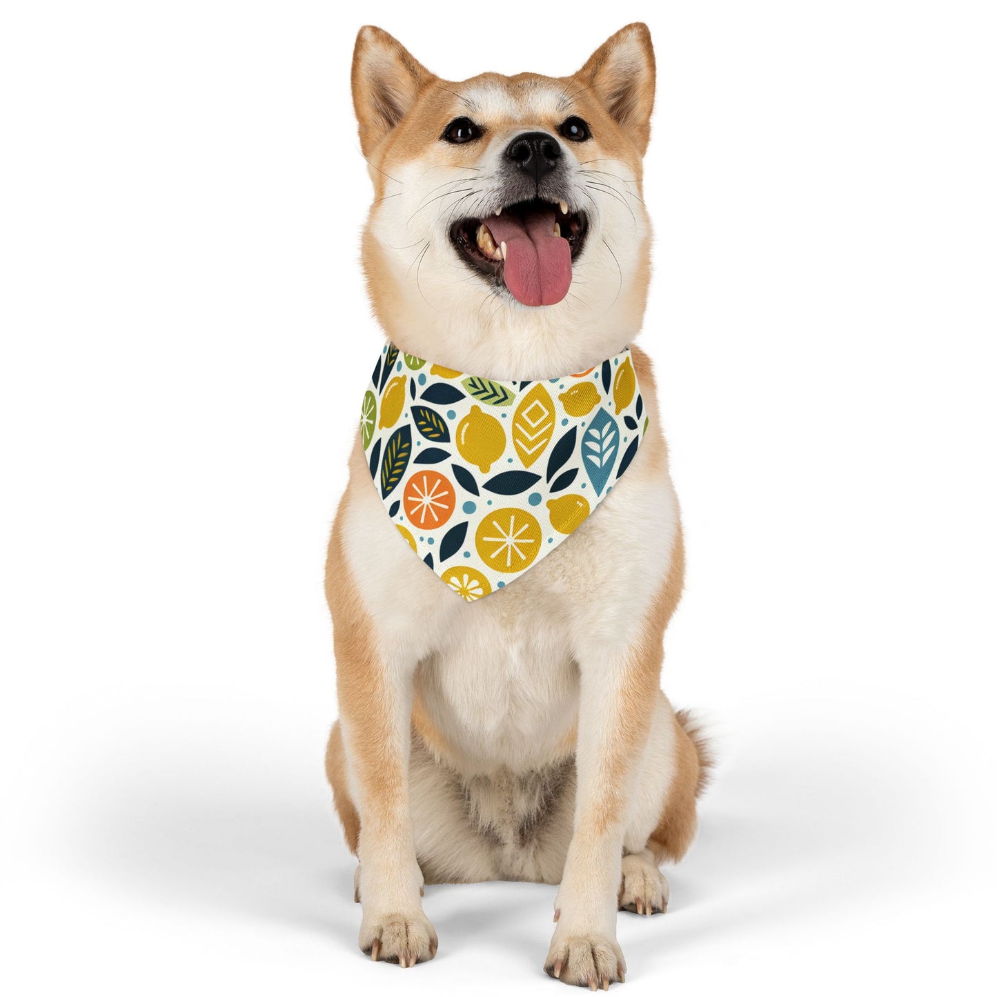 Citrus Pet Bandana Collar