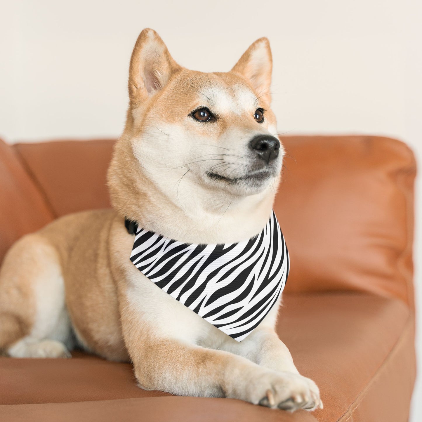 Zebra Pet Bandana Collar 🦓