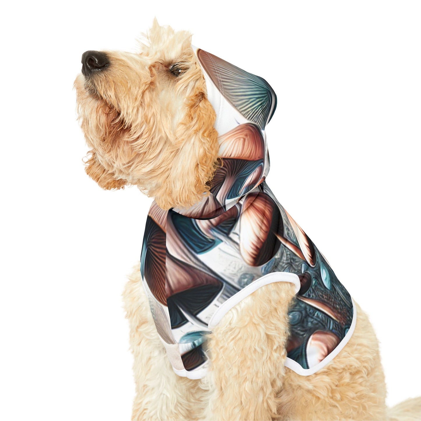 Magic Mushroom Pet Hoodie 🍄