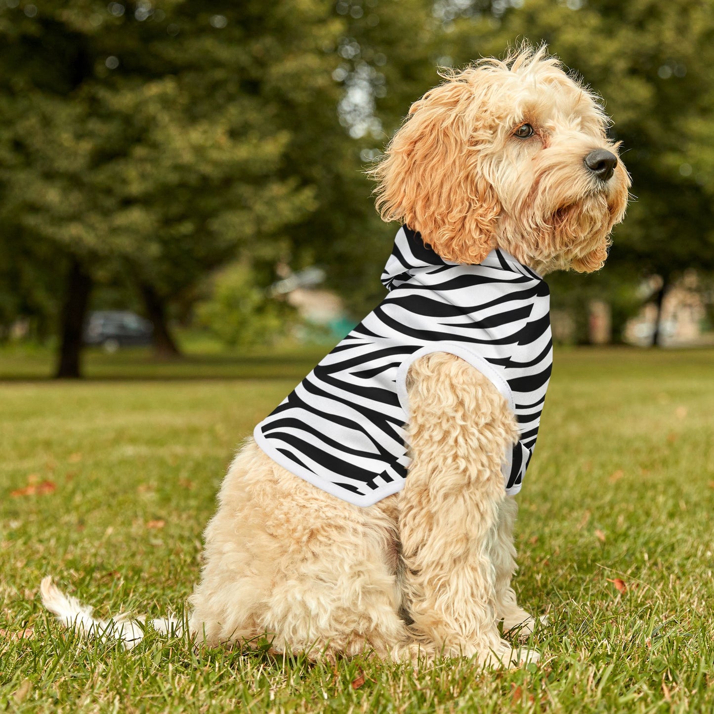 Zebra Pet Hoodie 🦓