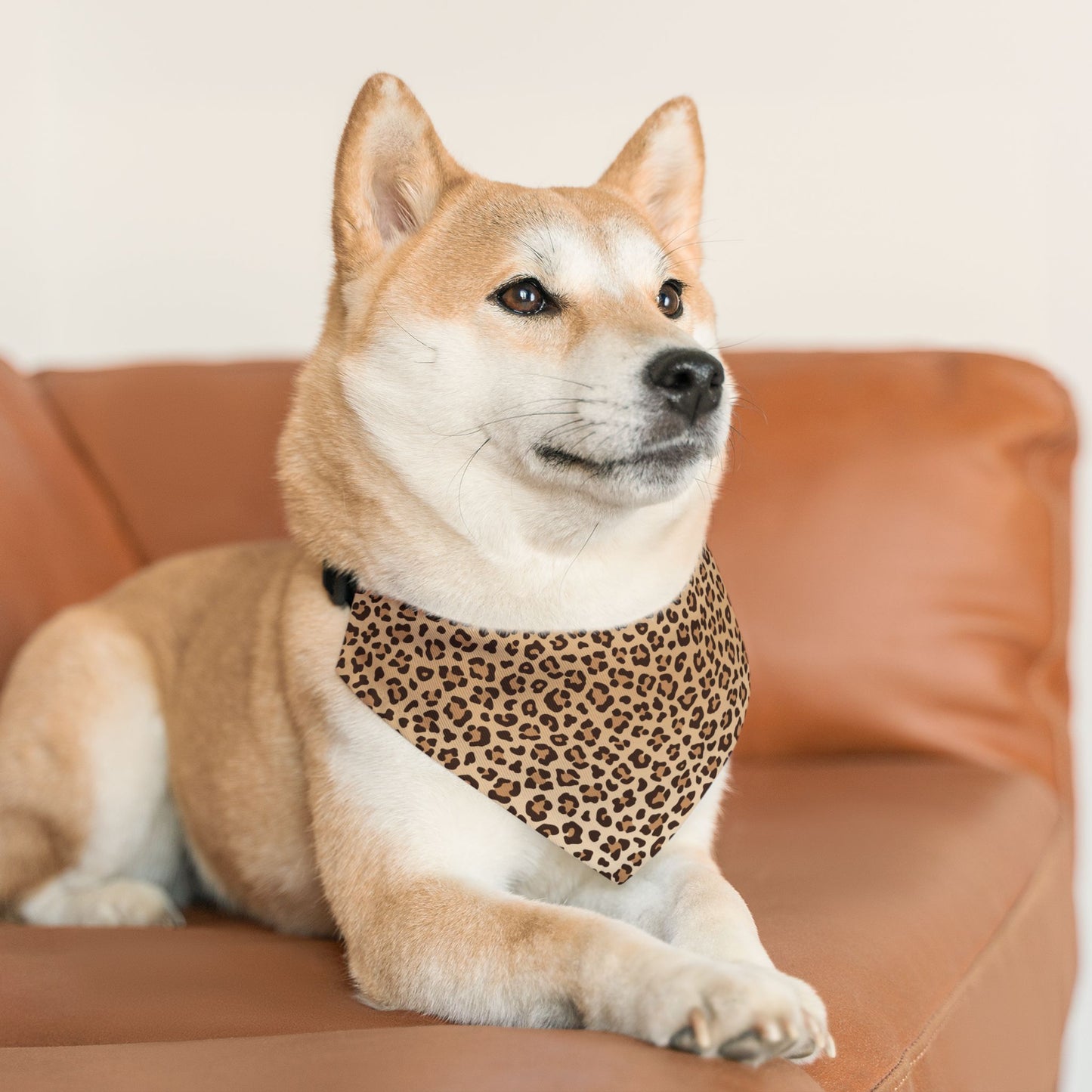 Leopard Print Pet Bandana Collar 🐆