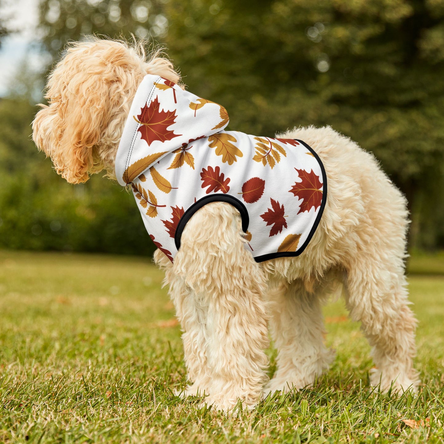 Falling Leaves Pet Hoodie 🍁