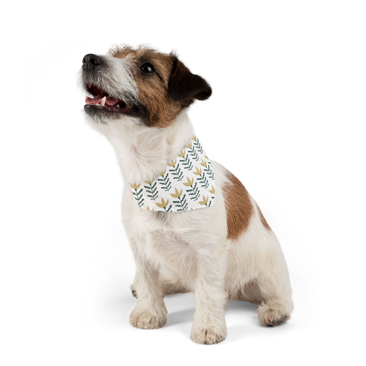 Gold and Vine Pet Bandana Collar