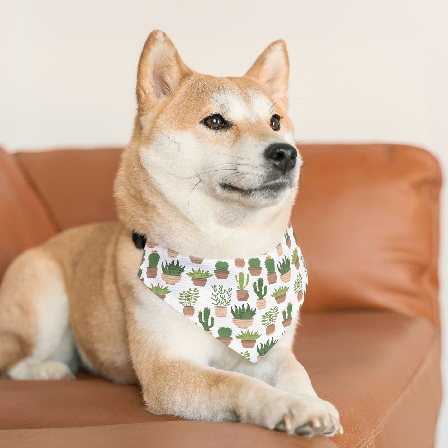 Succulent Style Pet Bandana Collar 🌿