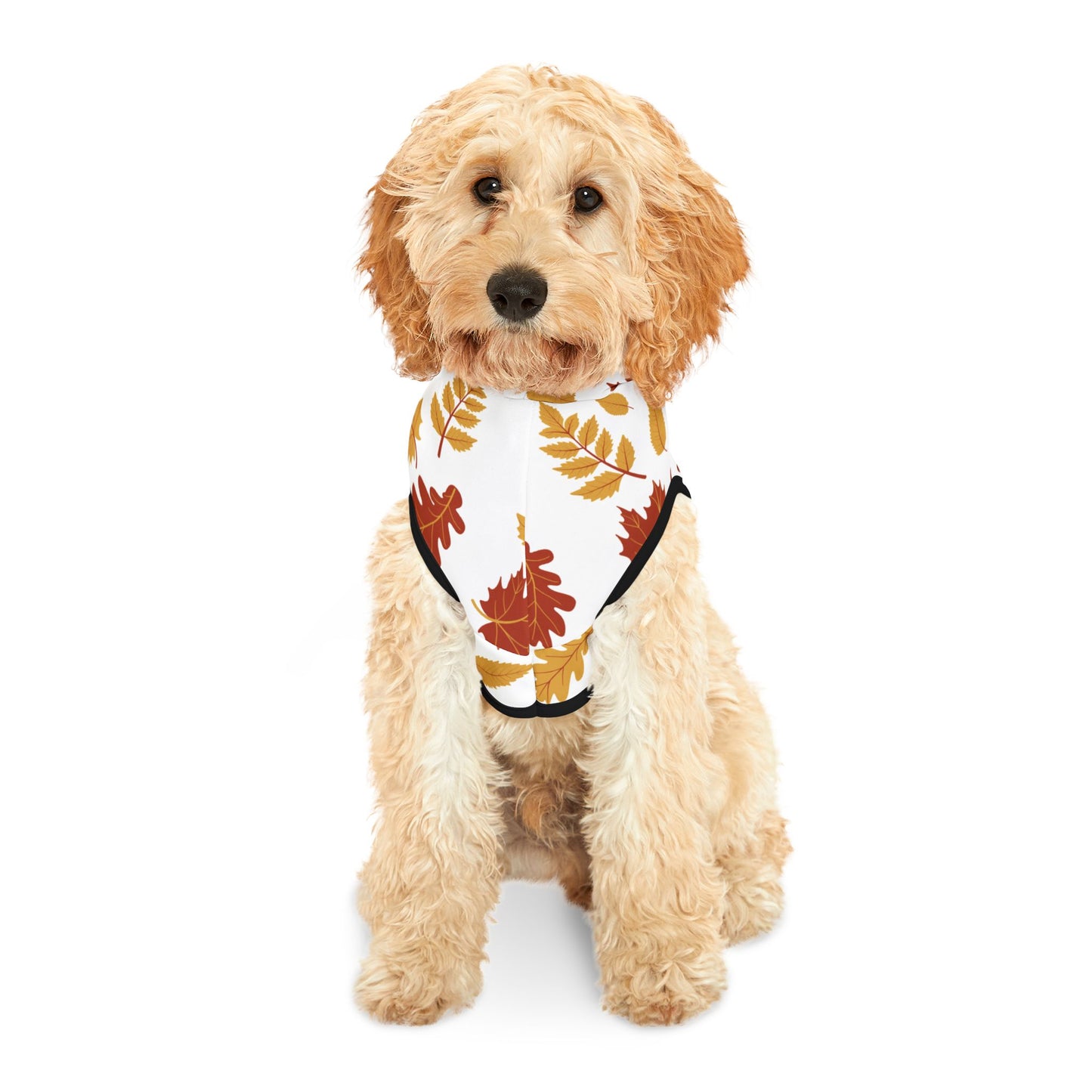 Falling Leaves Pet Hoodie 🍁