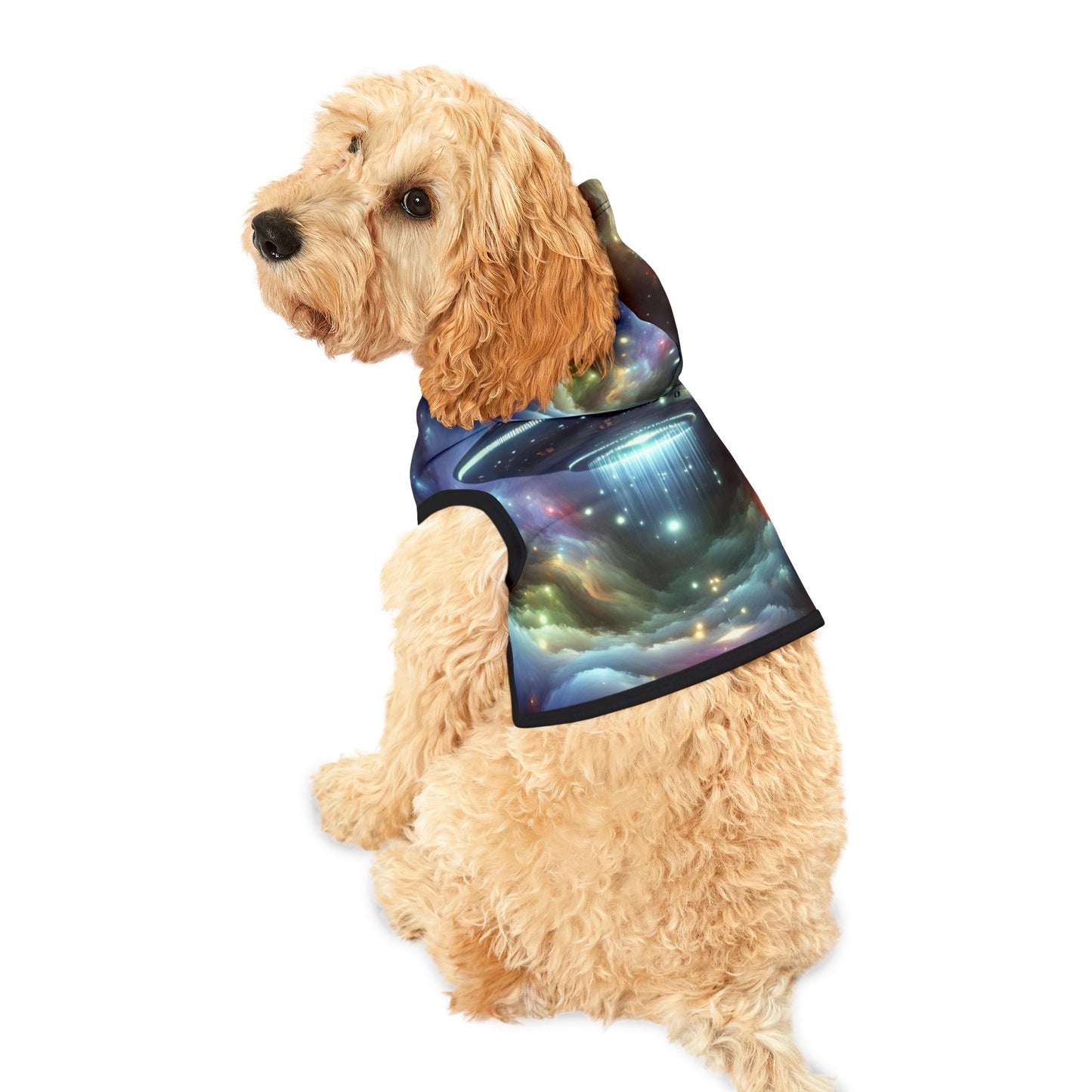 Out-of-This-World UFO Pet Hoodie 🛸👽