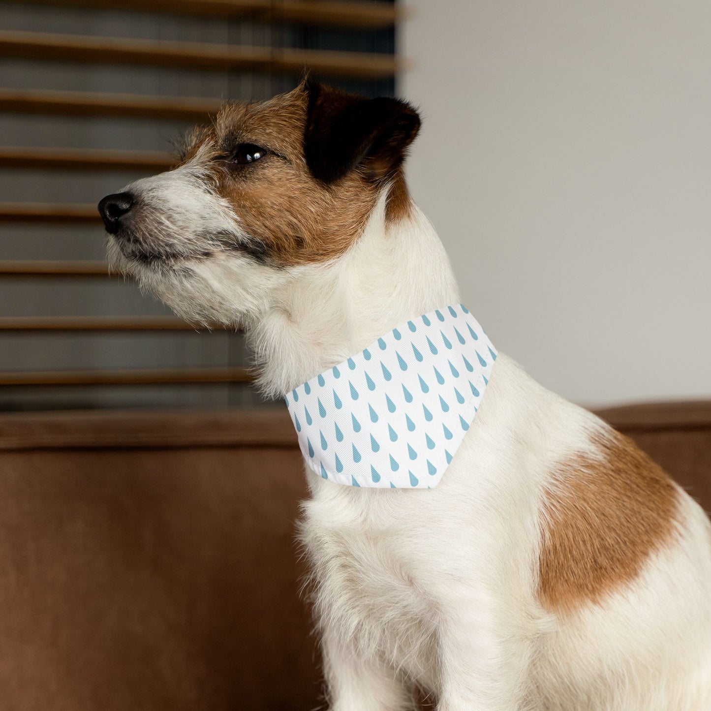 Raindrop Pet Bandana Collar